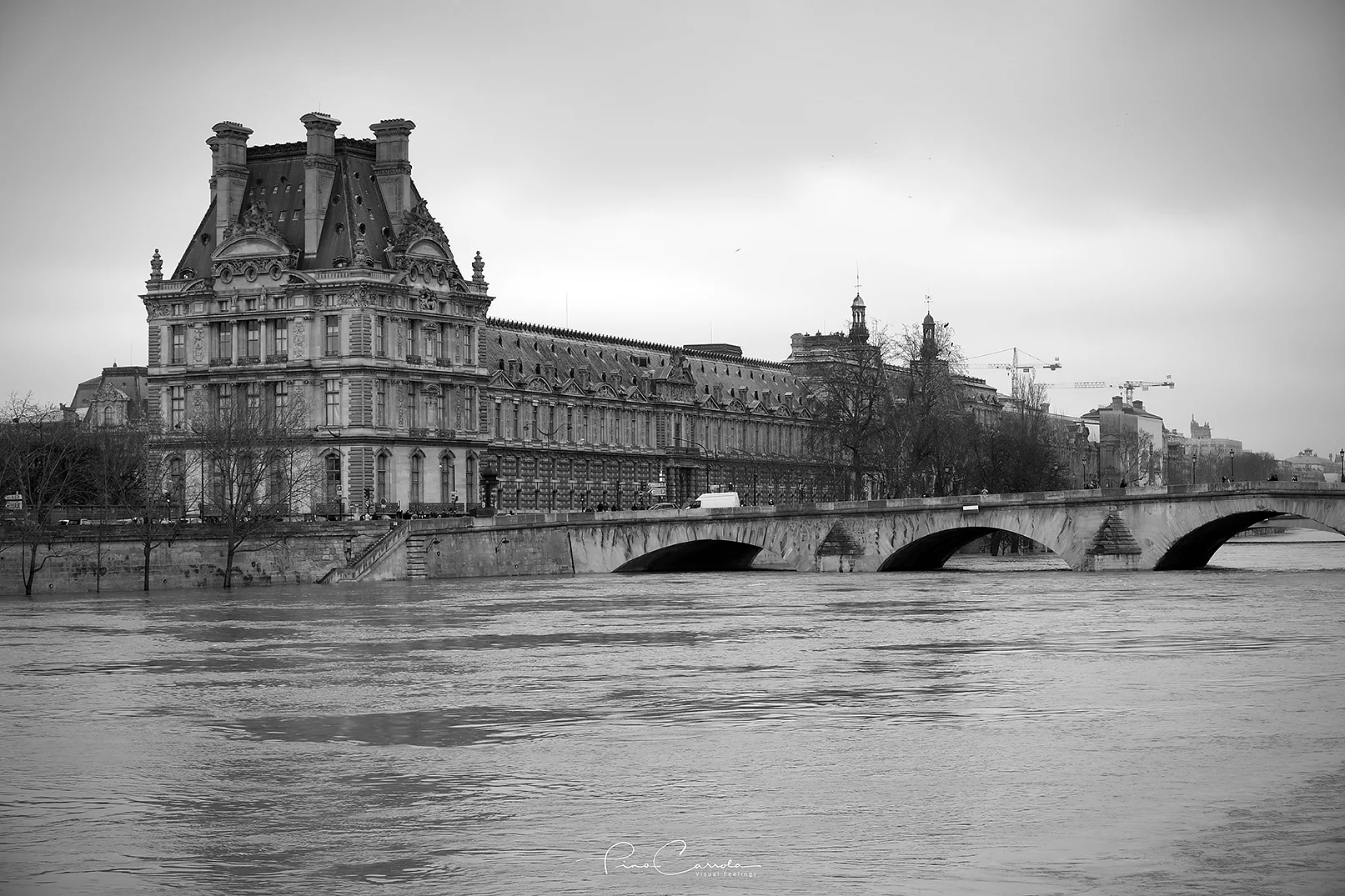 709A8891 copy.jpg