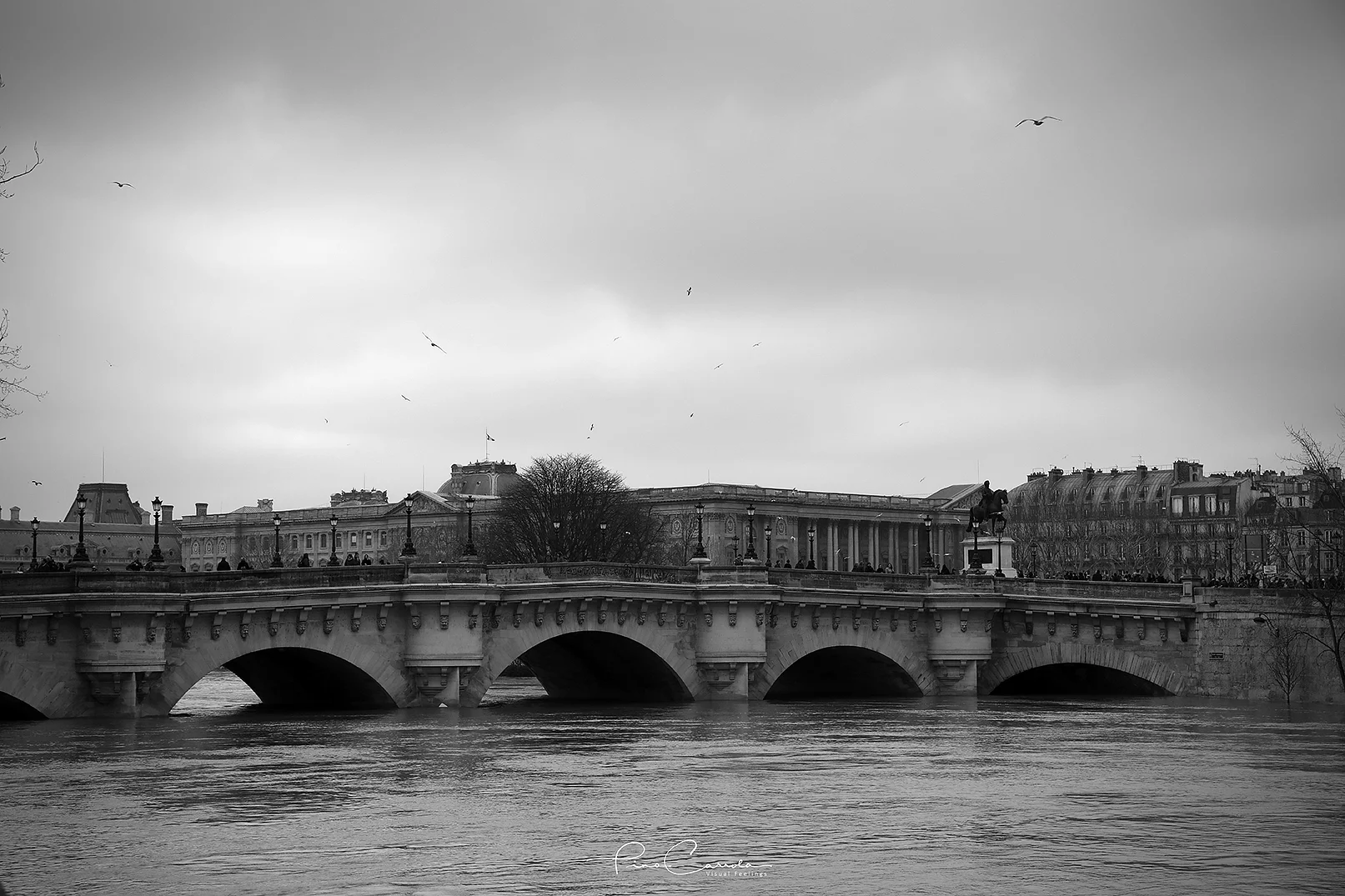 709A8950 copy.jpg