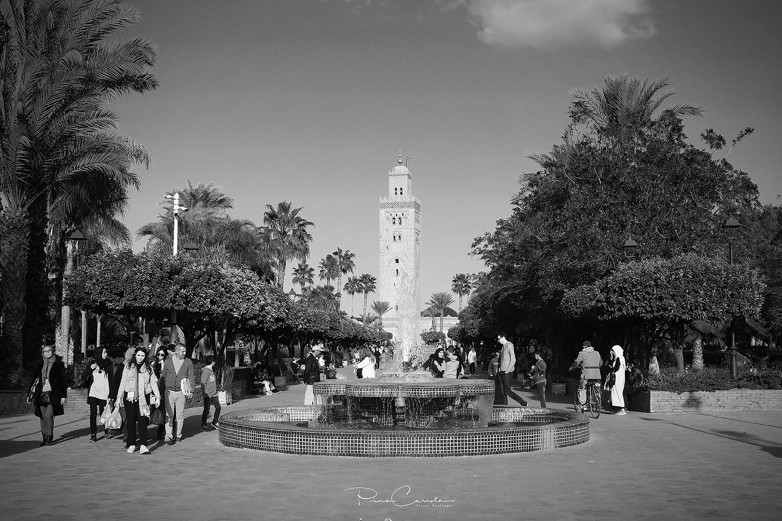 709A9129 copy.jpg