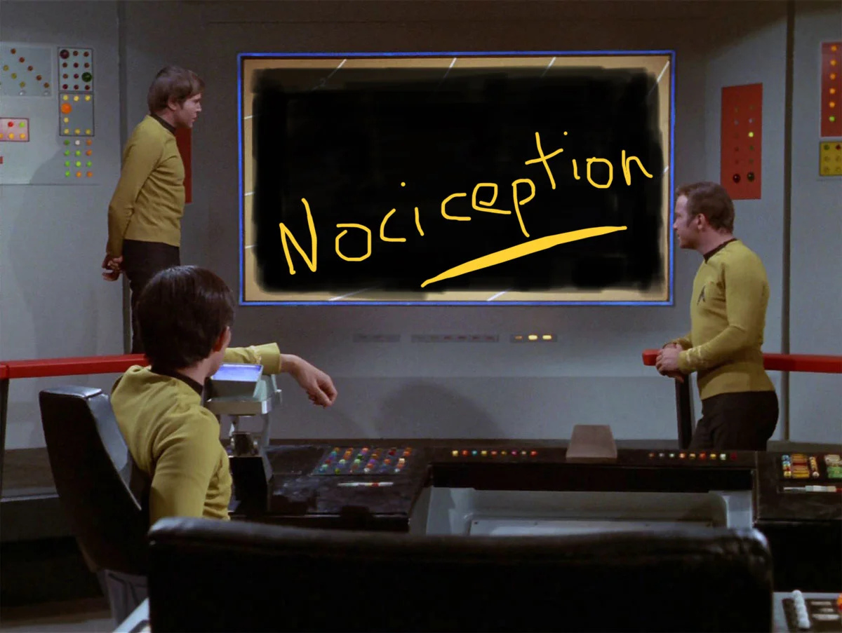 Nociception and Star Trek