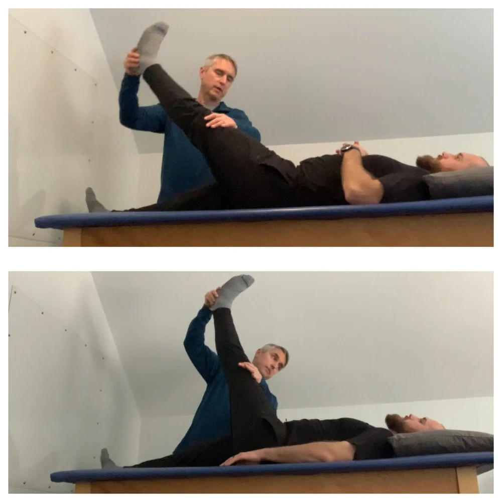 Understanding Fields (EMFs) — Integrative Rehab Training