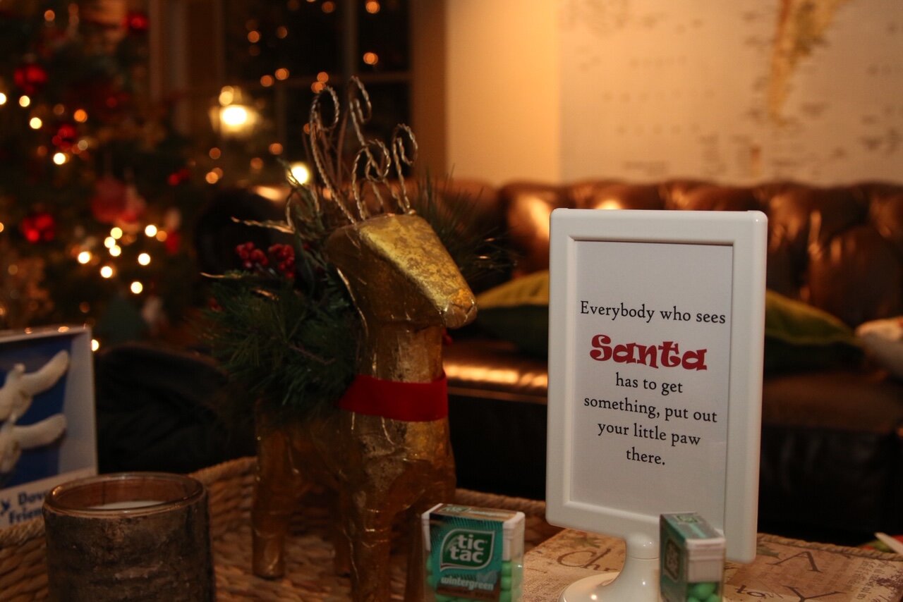 How to Host the Ultimate "Home Alone" Themed Holiday Party — The Green Robe