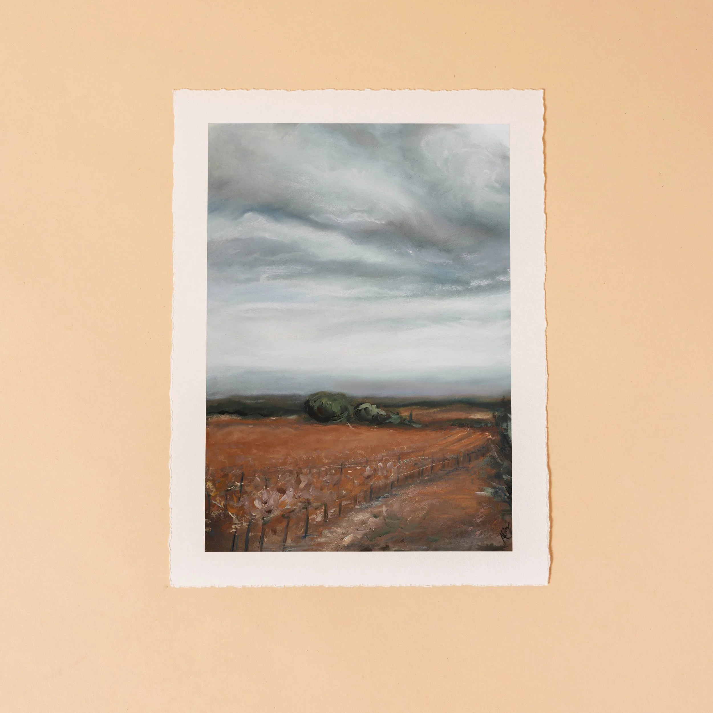 Art Print Autumn Provence France Vineyards