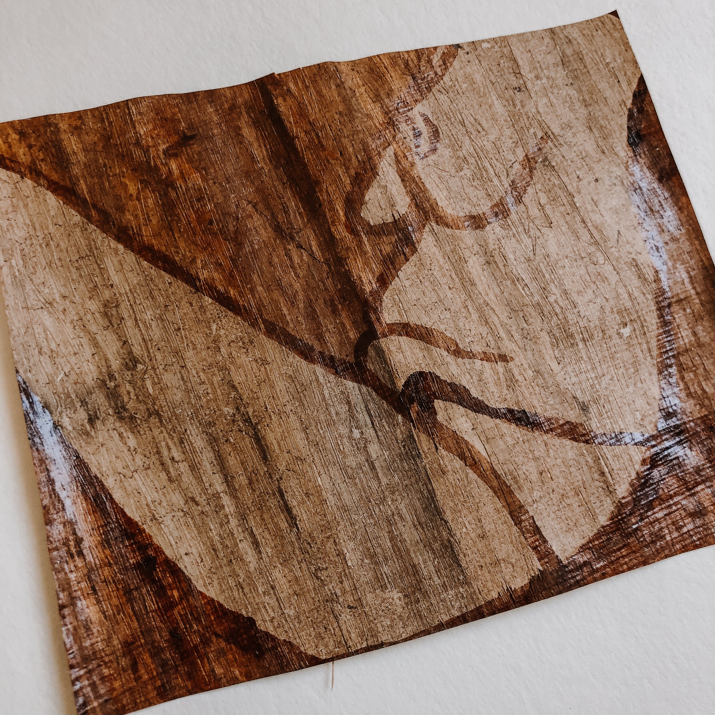 D8F63154-9CAE-415C-BE13-EAD7B2752FC7