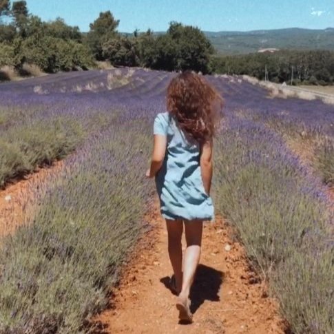 Provence+Lavender+Fields+Art+Avery+Ches.jpg