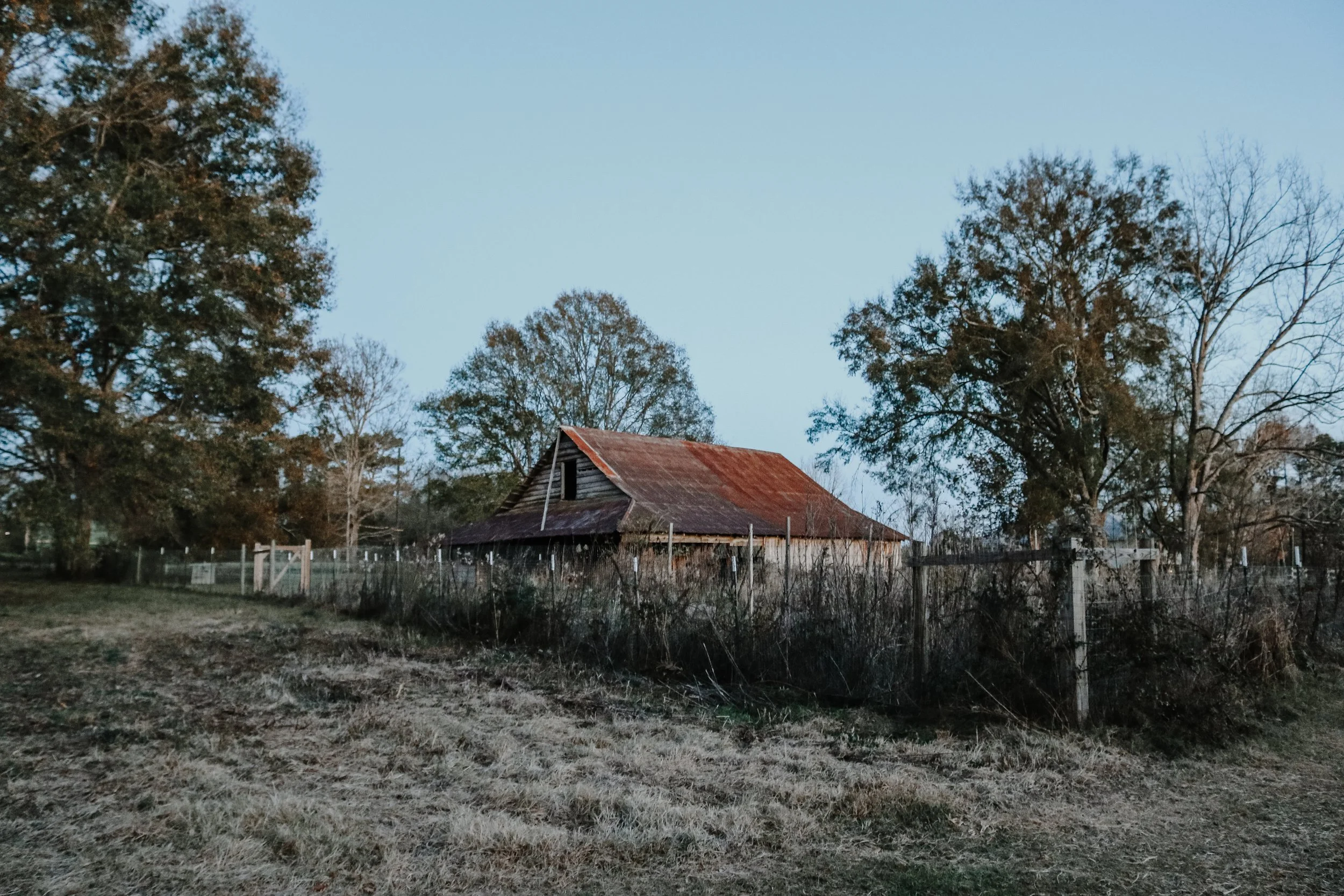Solitude: A Visual Journal from Rural Louisiana