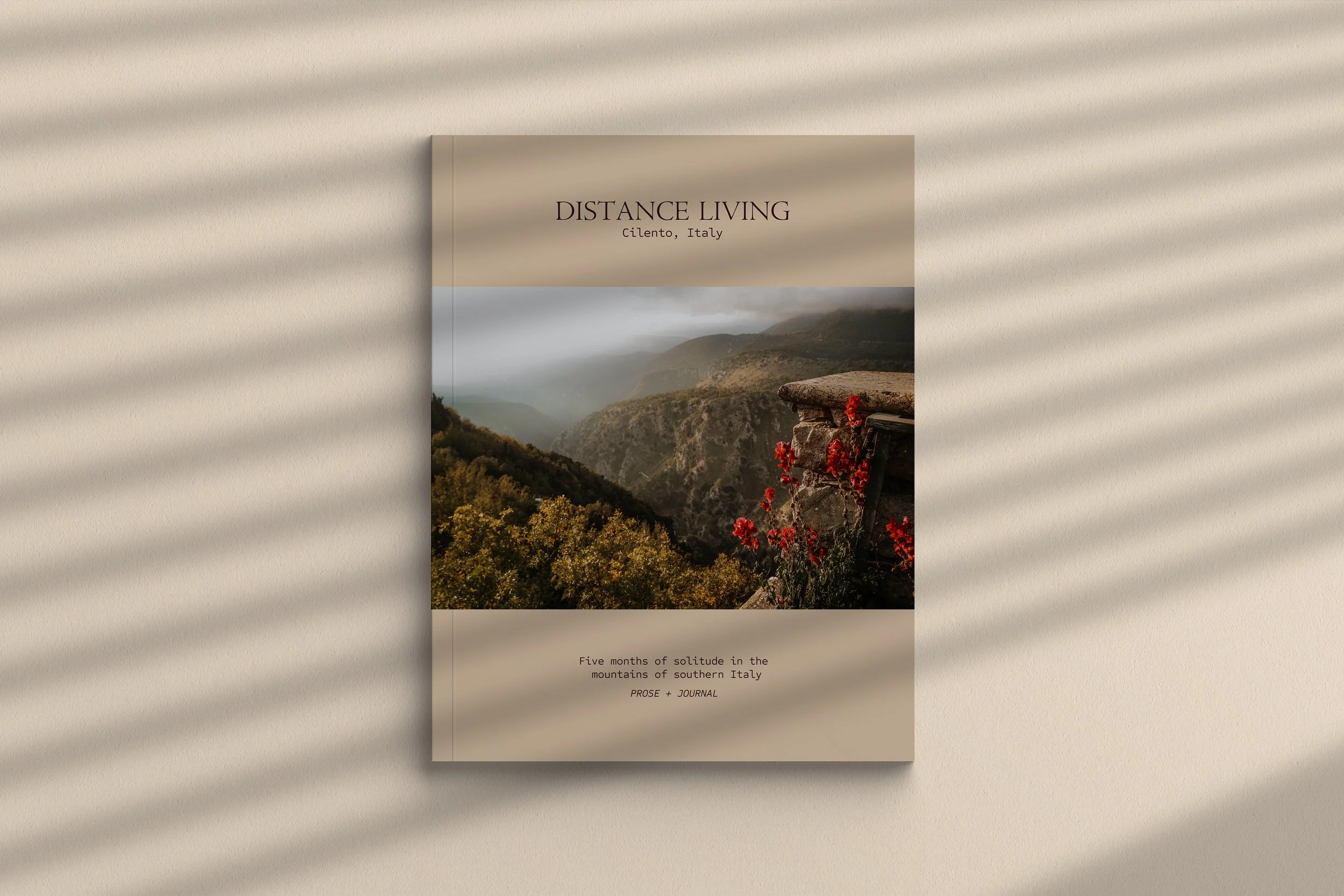 Book Cover Mock-Up 1.jpg