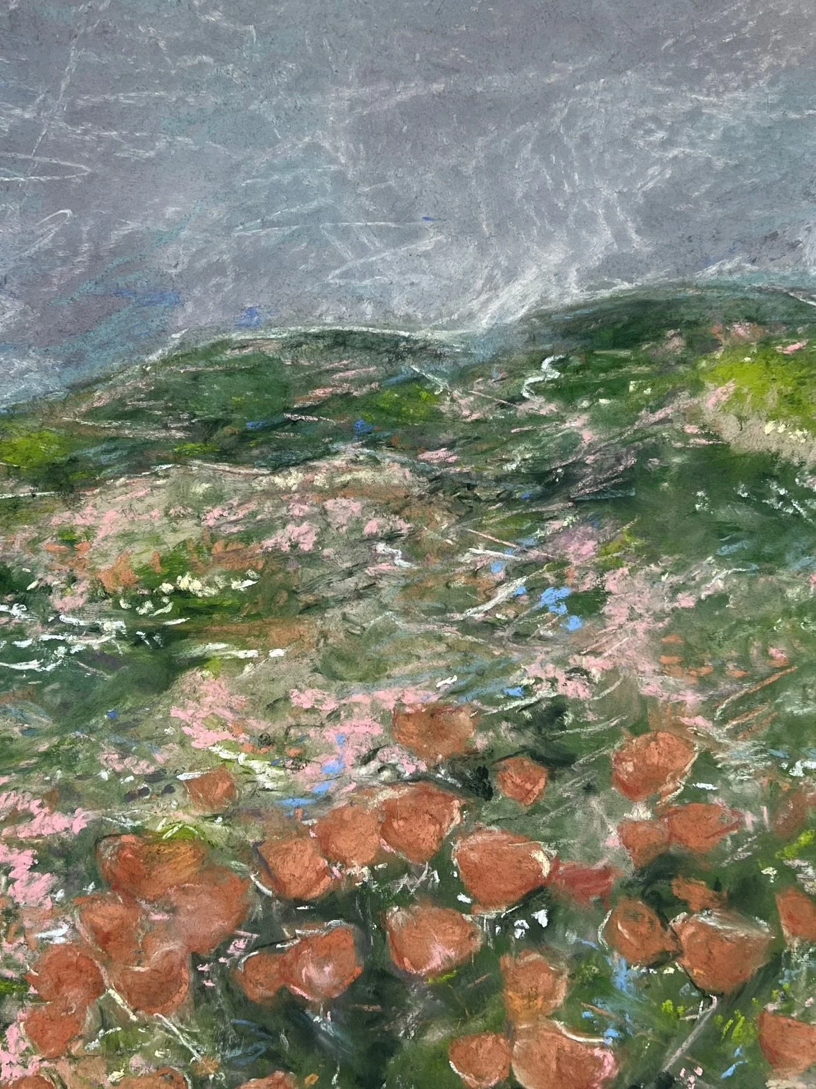 Poppies N.3 &bull; Sold