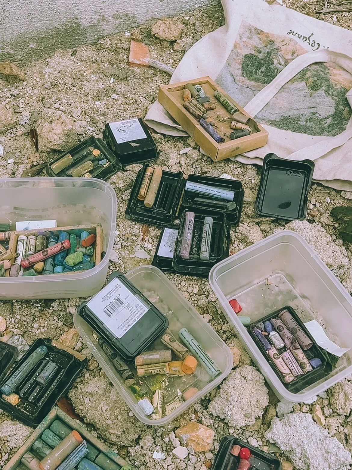 Forest Paths &bull; $3,200