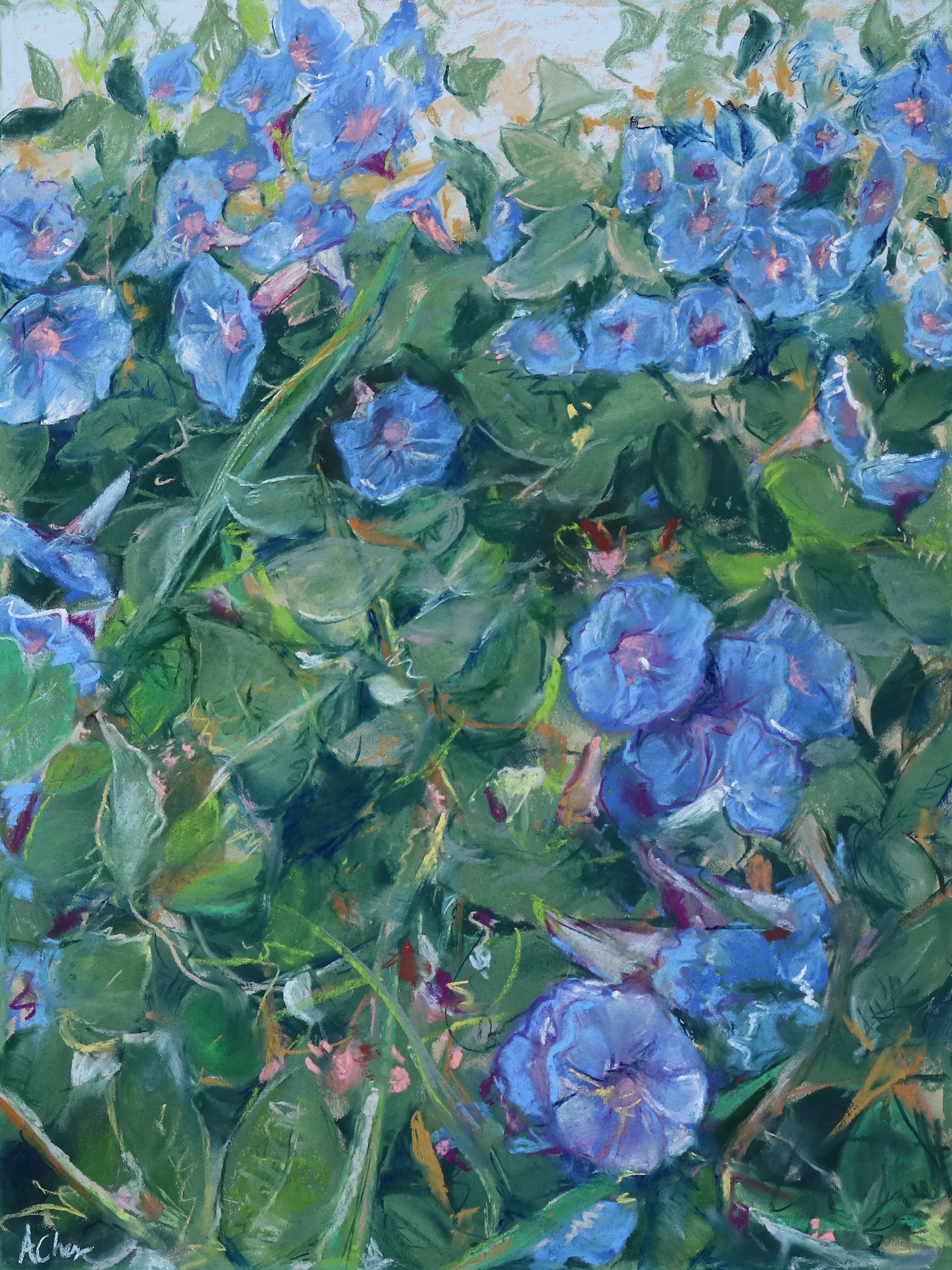 Morning Glories, Pastel on Paper, 20x30", 2025