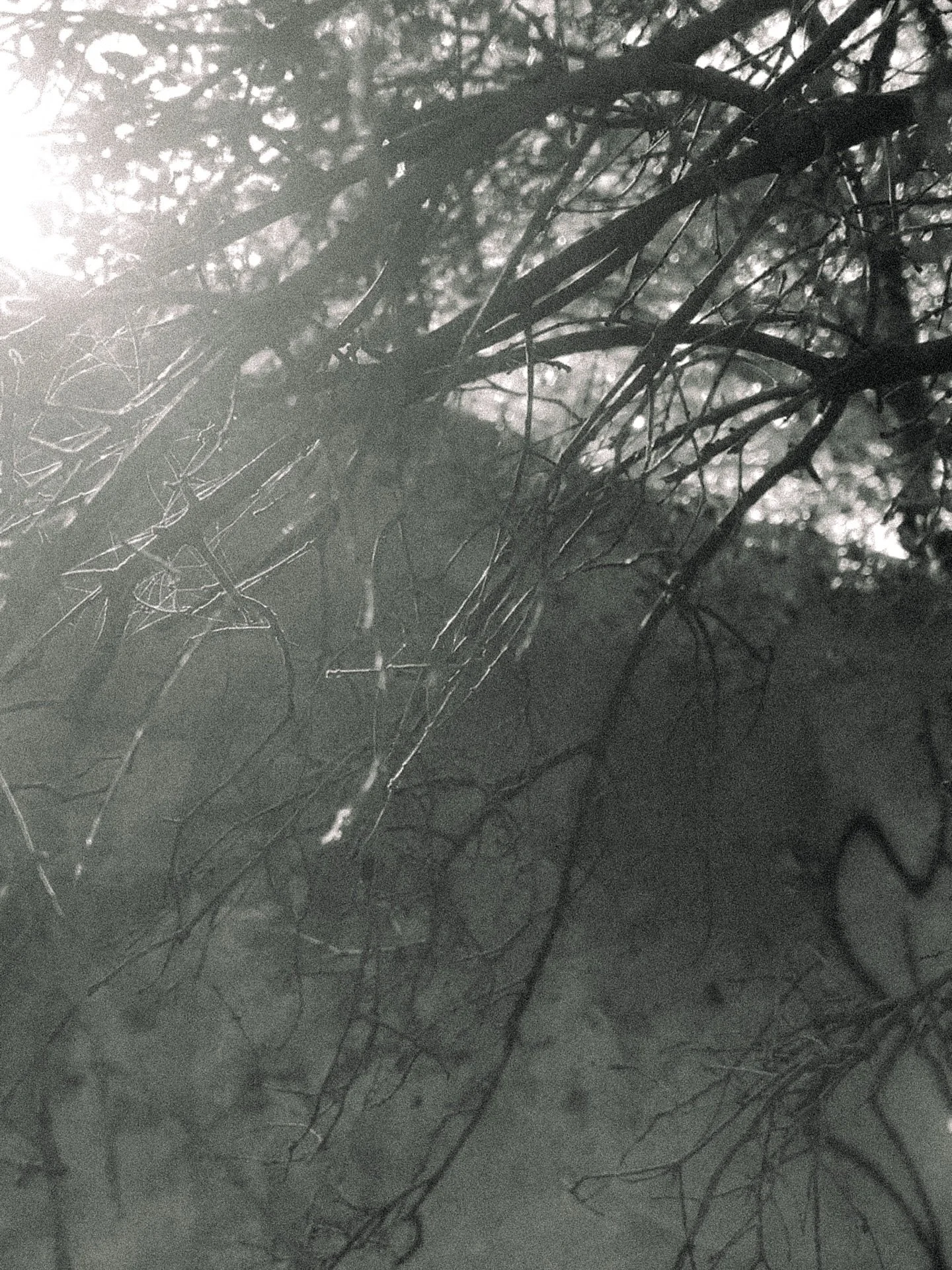 Winter Forest painting 🪾 Process Photos