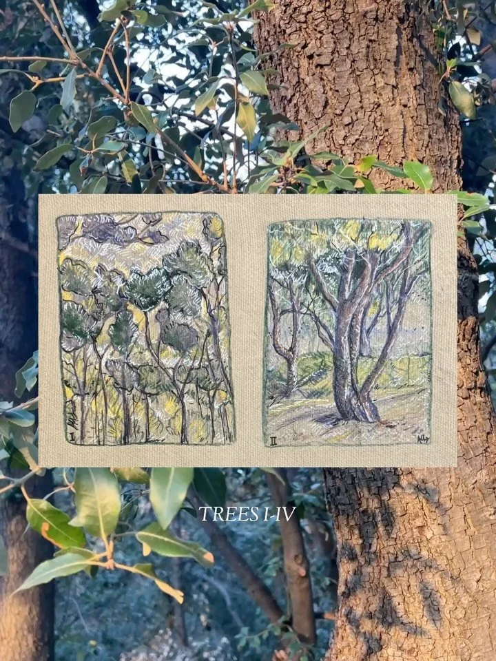 Trees I-IV, $250

Trees from around Marseille, France 🍃