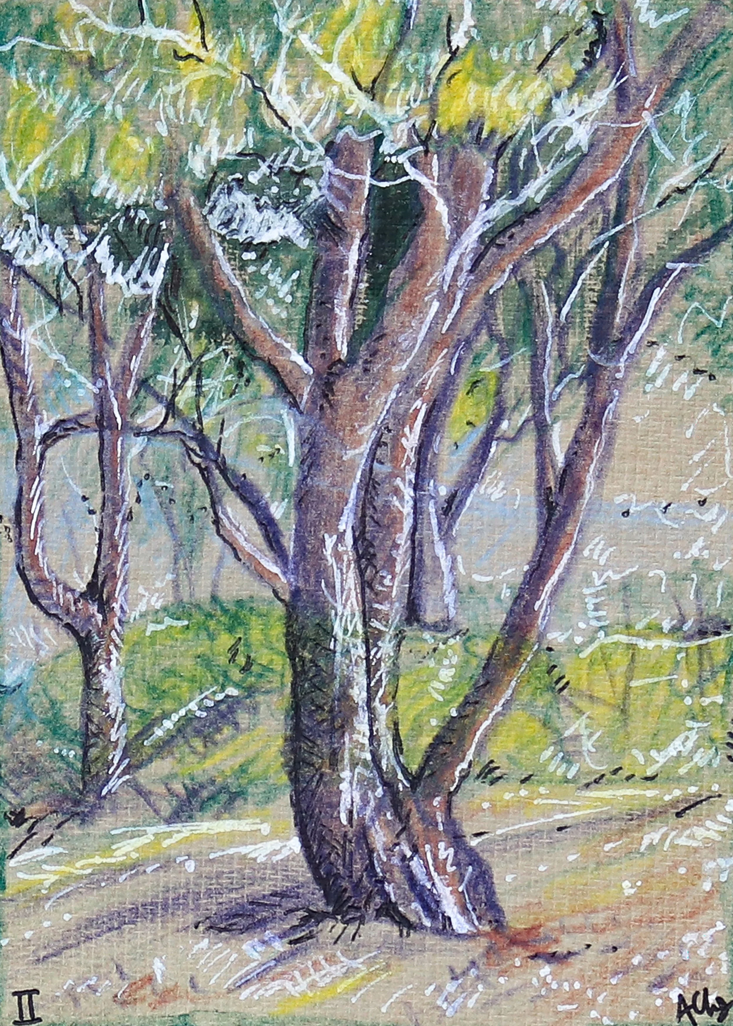 Trees II_No Border_5x7.jpg