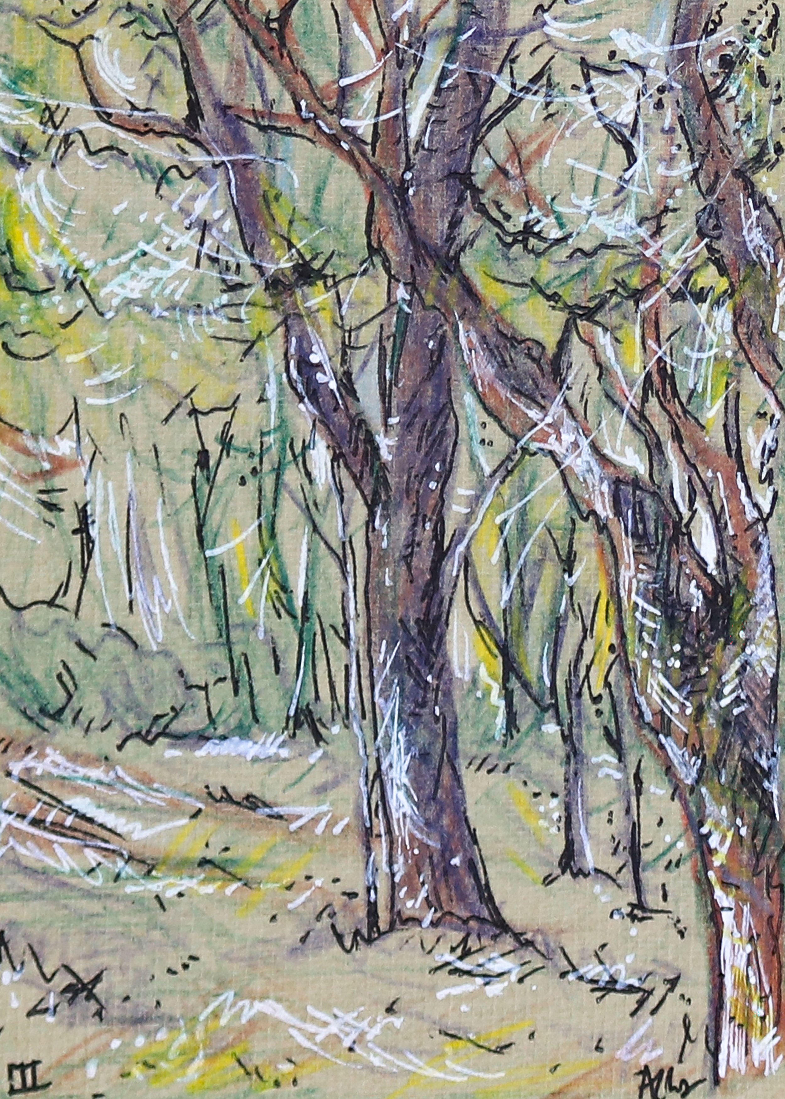 Trees IV_No Border_5x7.jpg