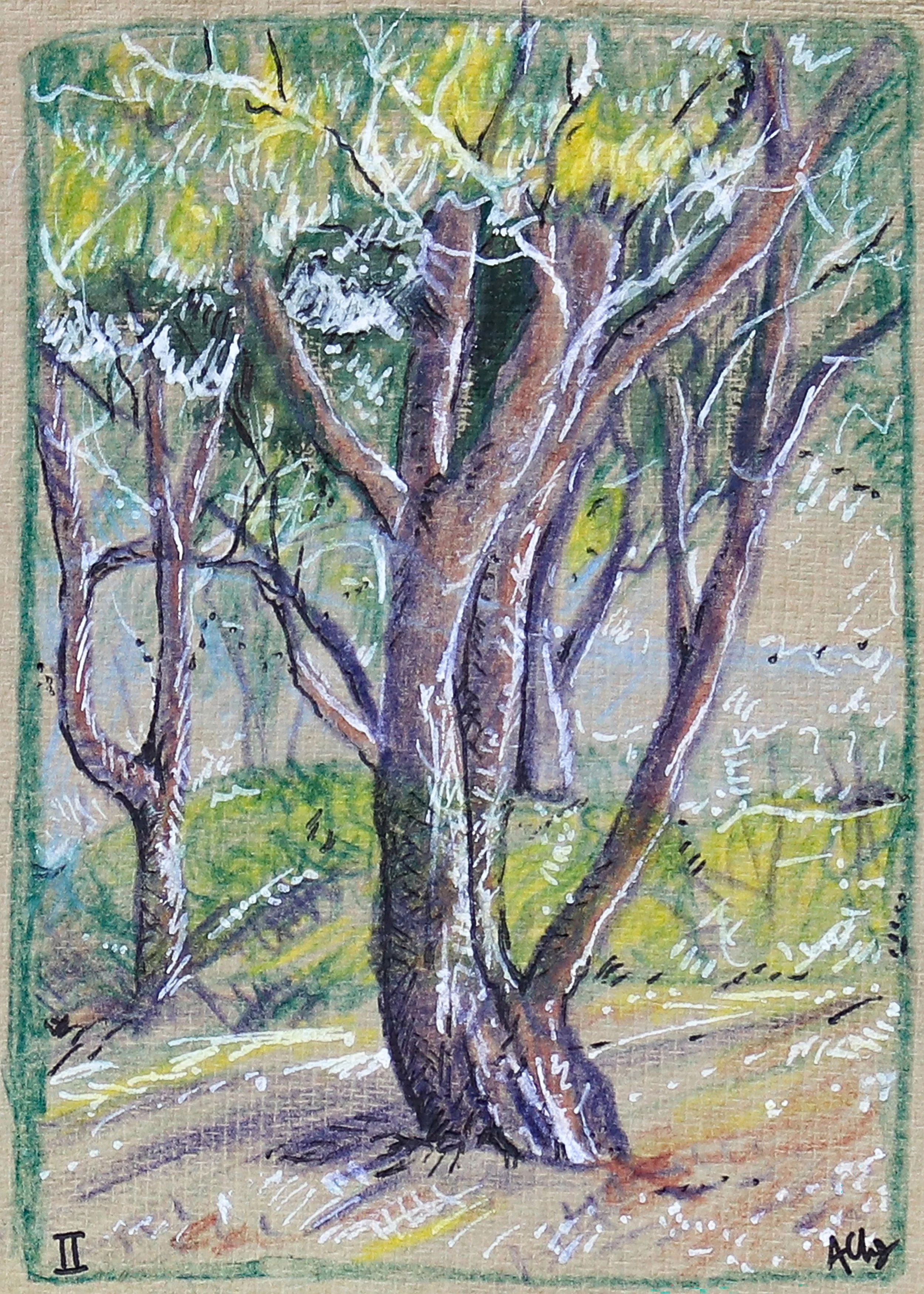 Trees II_Border_5x7.jpg