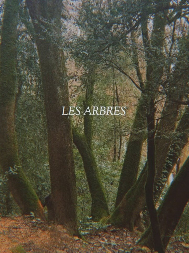 Marseille, enchanted. 

Trees sketch prints, online now 🍃