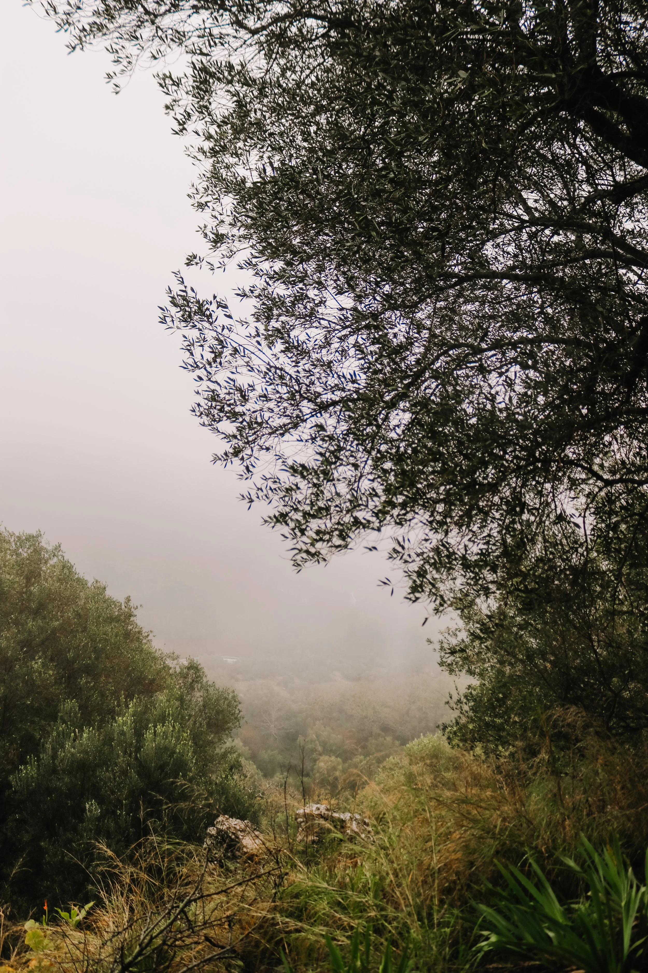 Italy_2022_Cilento-71.jpg