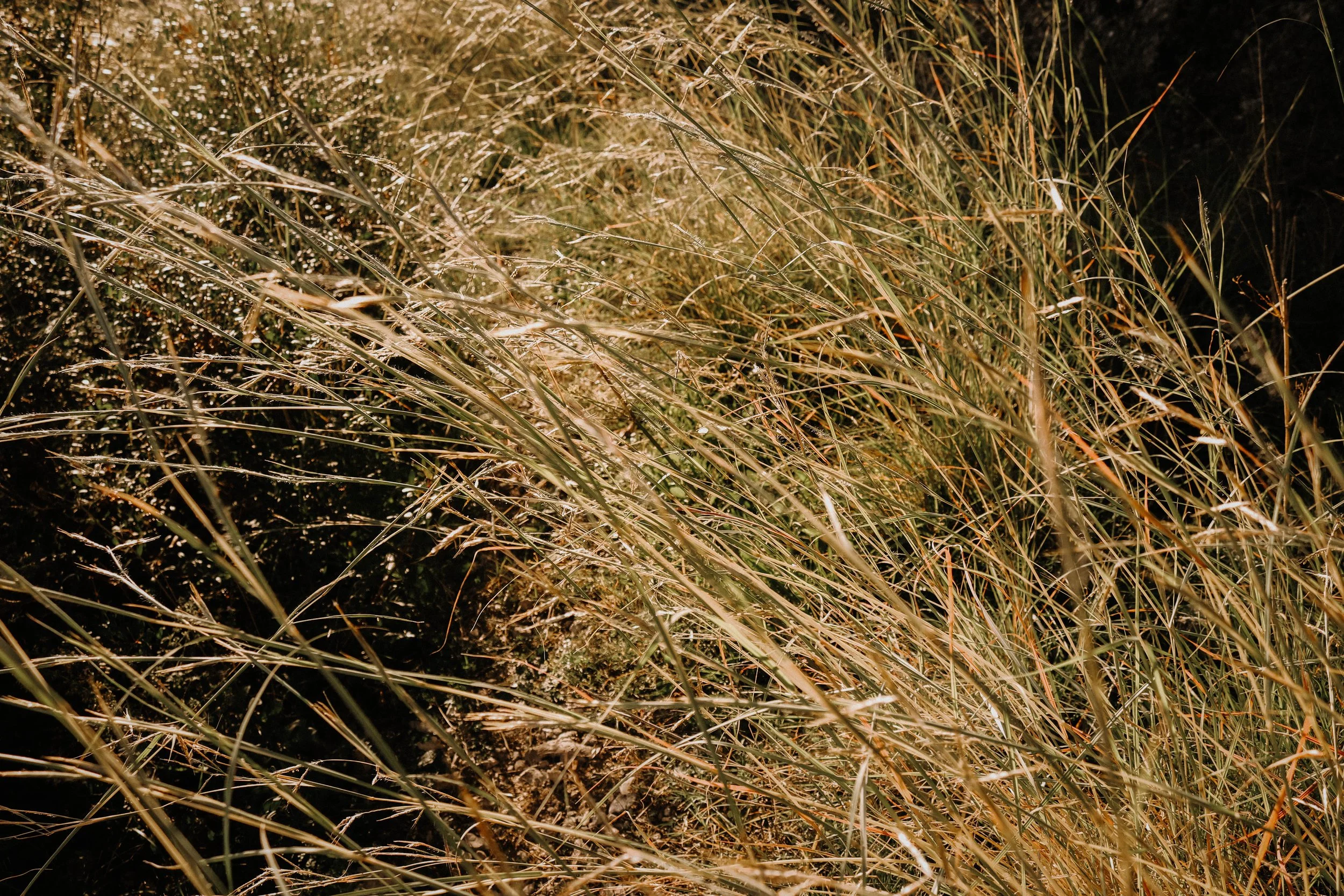 Tortorella Nature Scenes Southern Italy Avery Ches.jpg