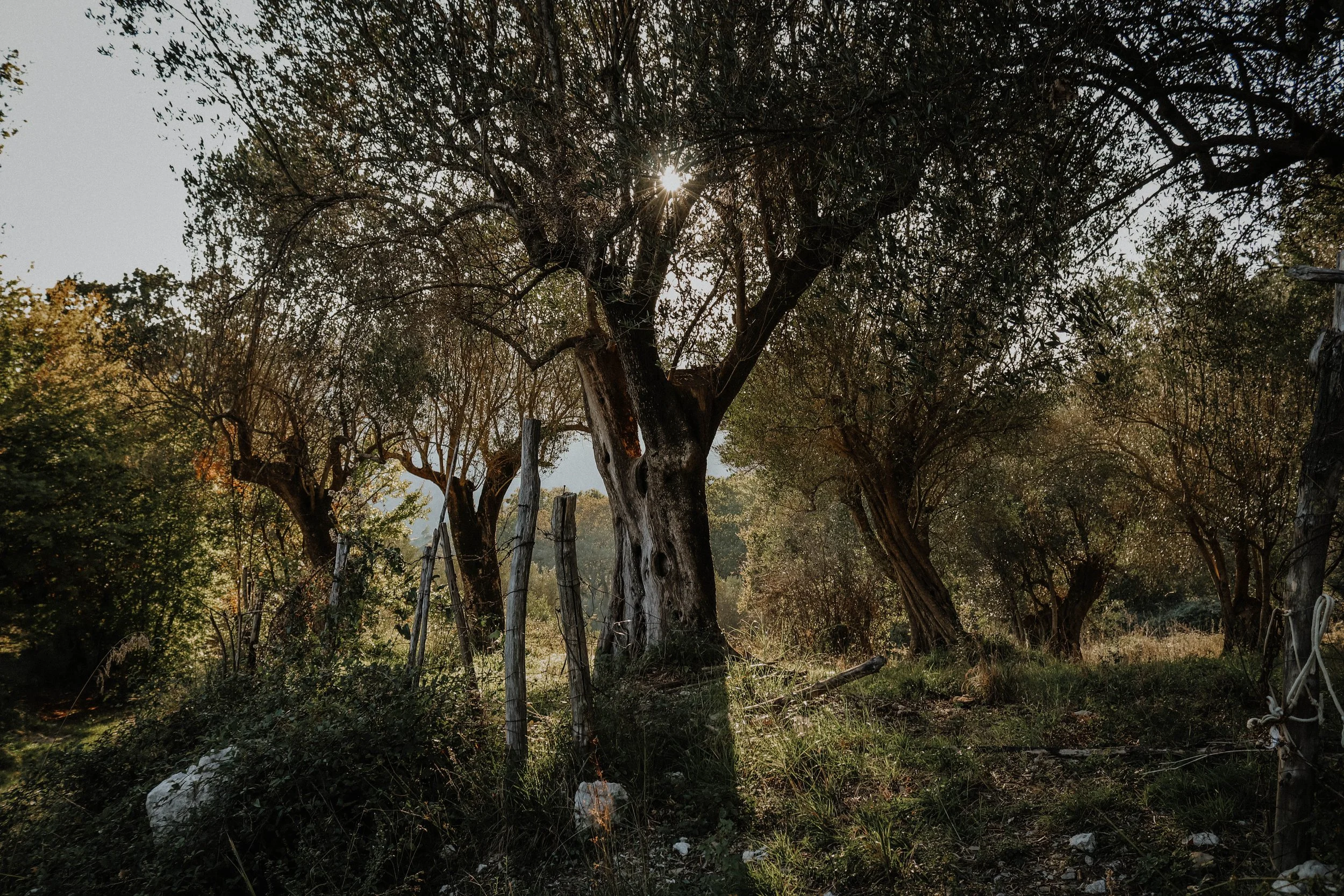 Tortorella Nature Scenes Southern Italy Avery Ches-24.jpg