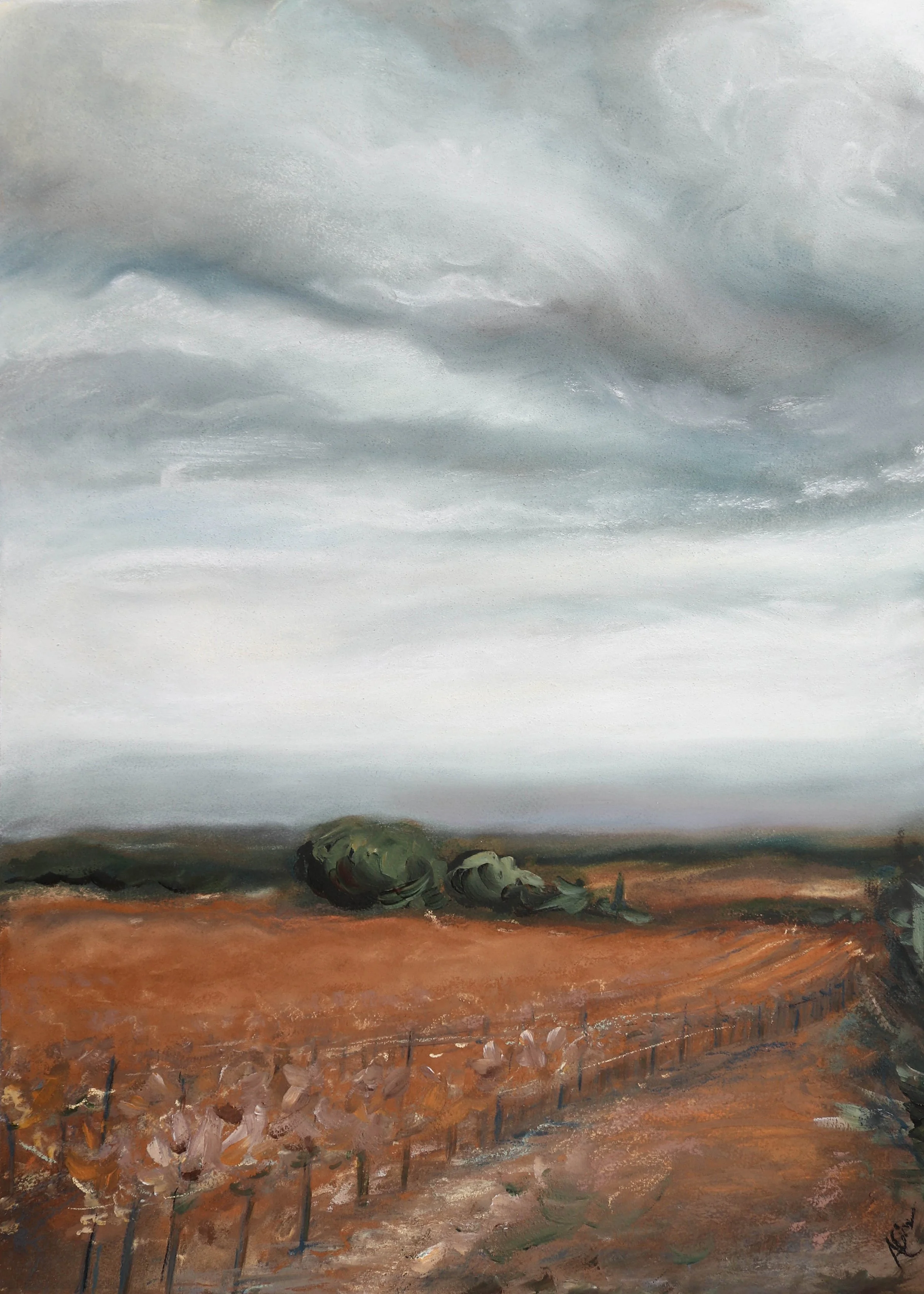 Autumn Vineyards, Pastel on Paper, 22x30", 2022