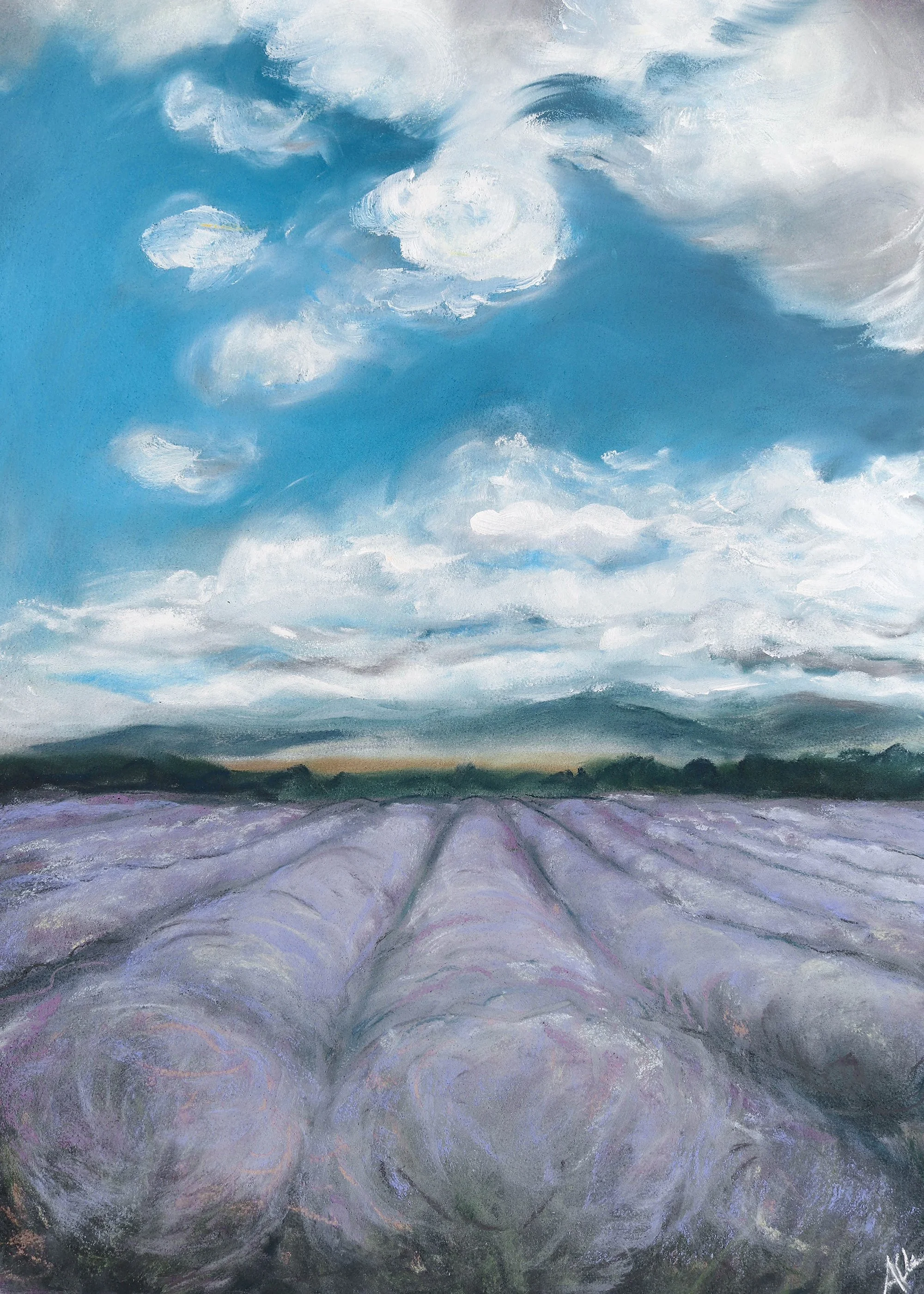 Lavender n.1, Pastel and Paint on Paper, 22x30", 2022