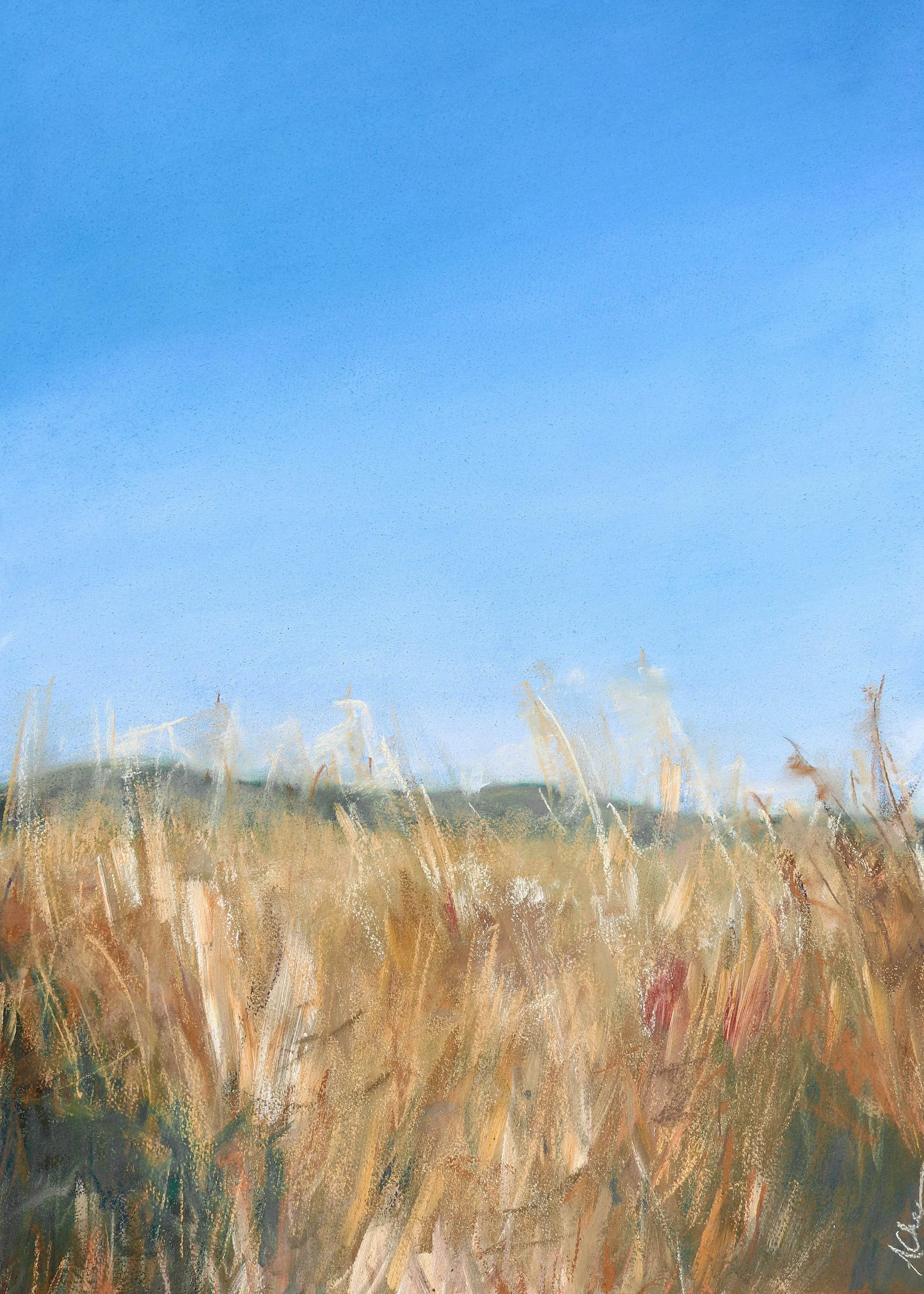 Wheat Fields n.1, Pastel on Paper, 22x30", 2022