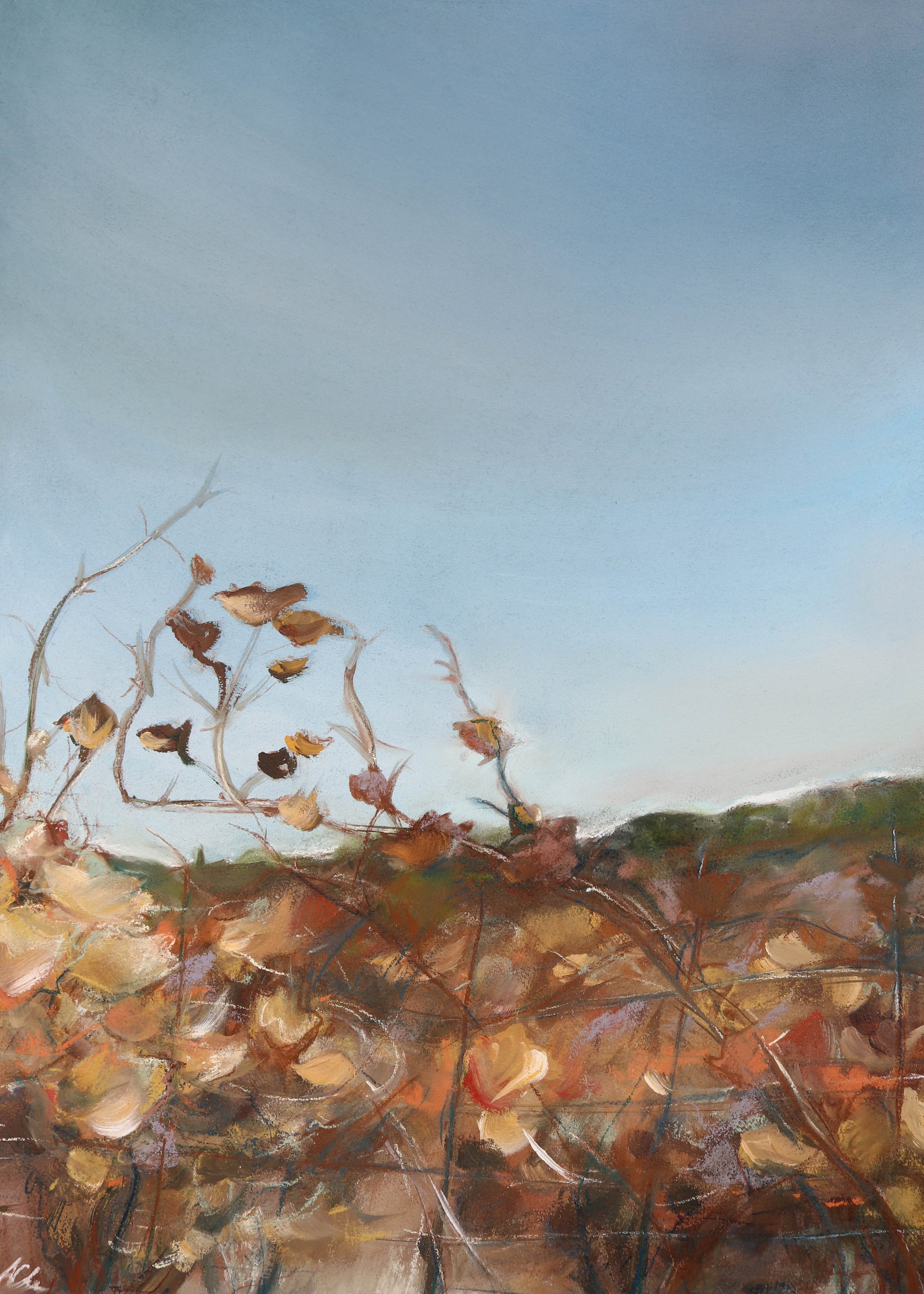October Vineyards, Pastel and Paint on Paper, 22x30", 2022