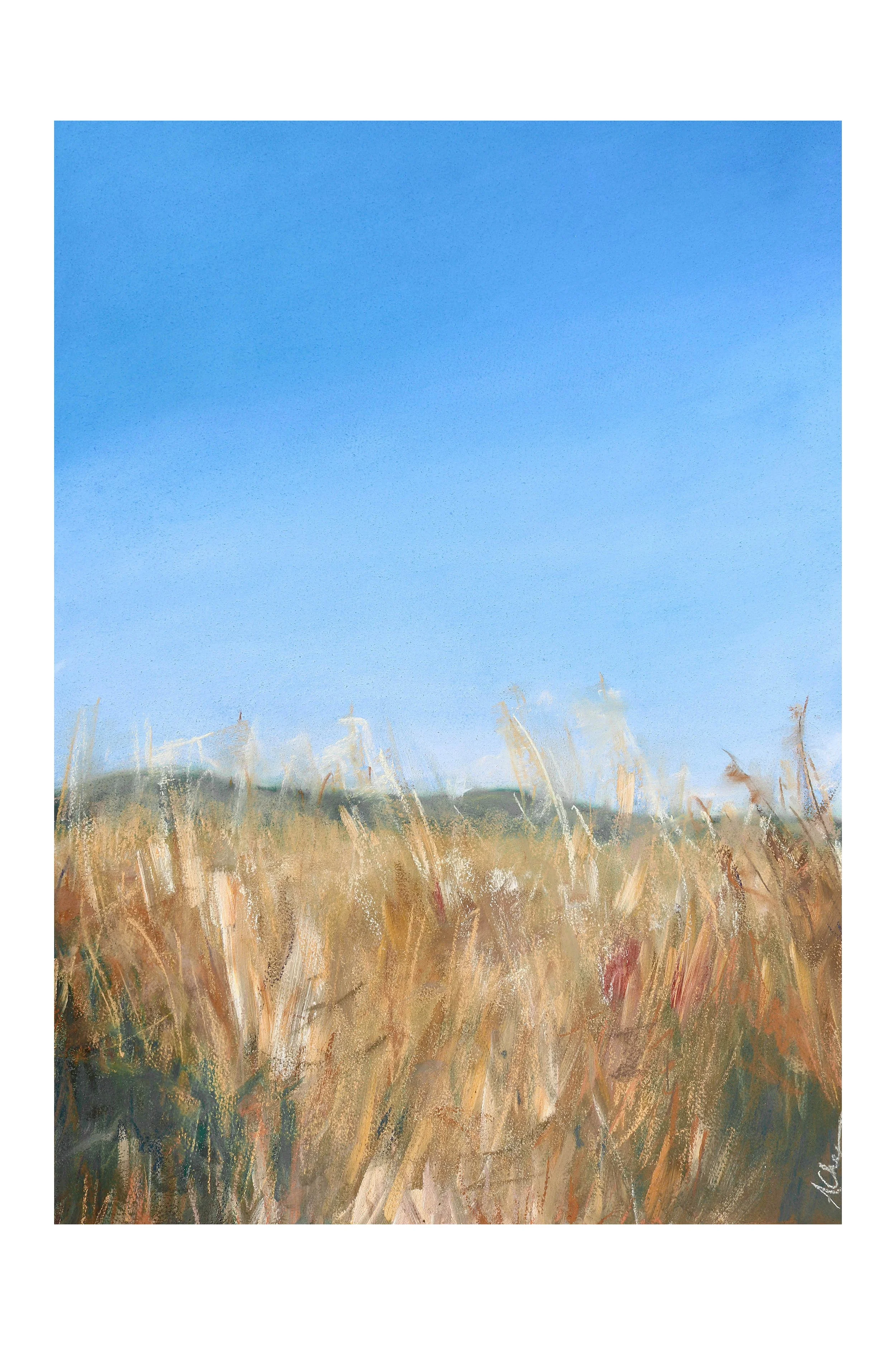 Wheat Fields Of Provence Listing Image_Avery Ches 2x3.jpg