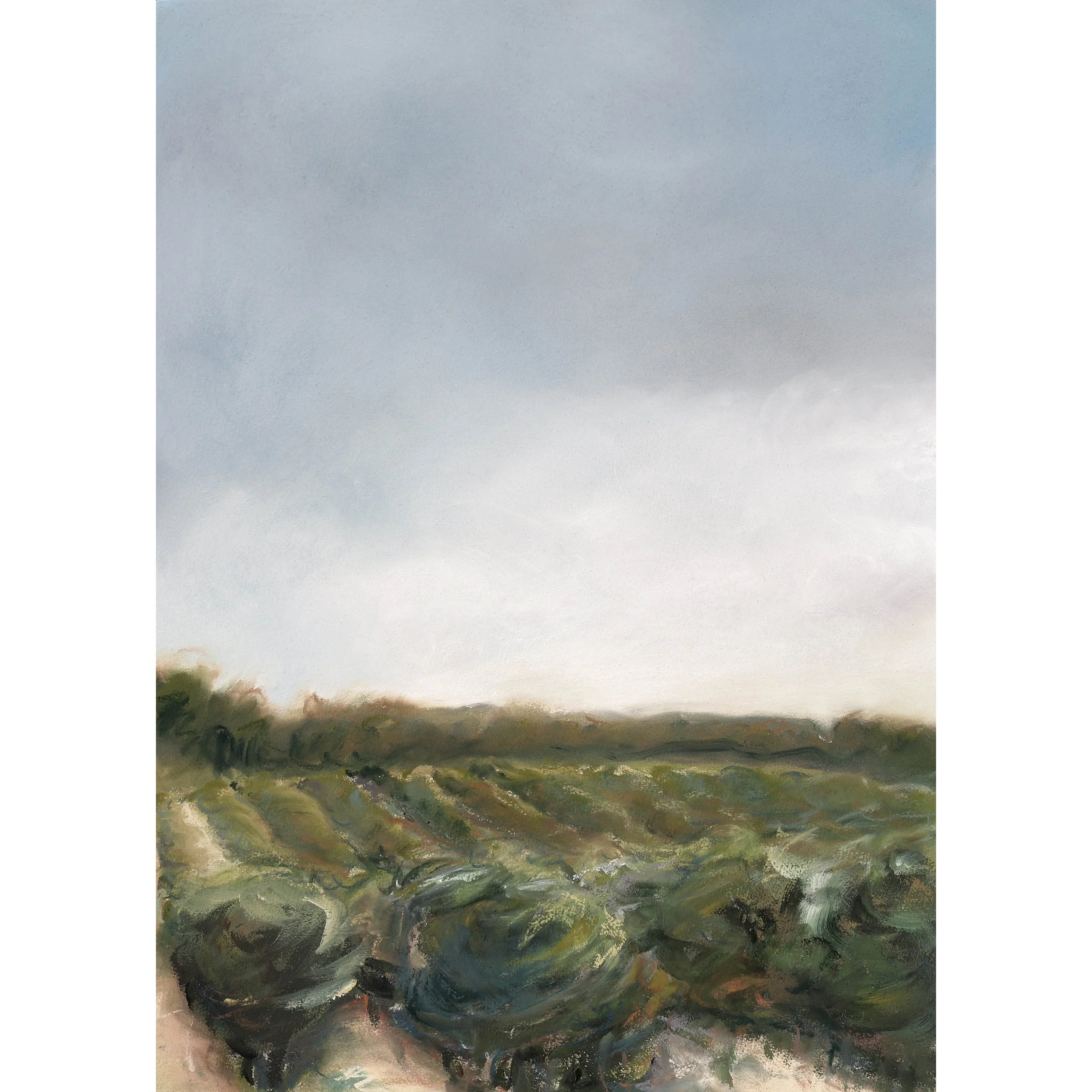 Storms over Vineyards Art Print