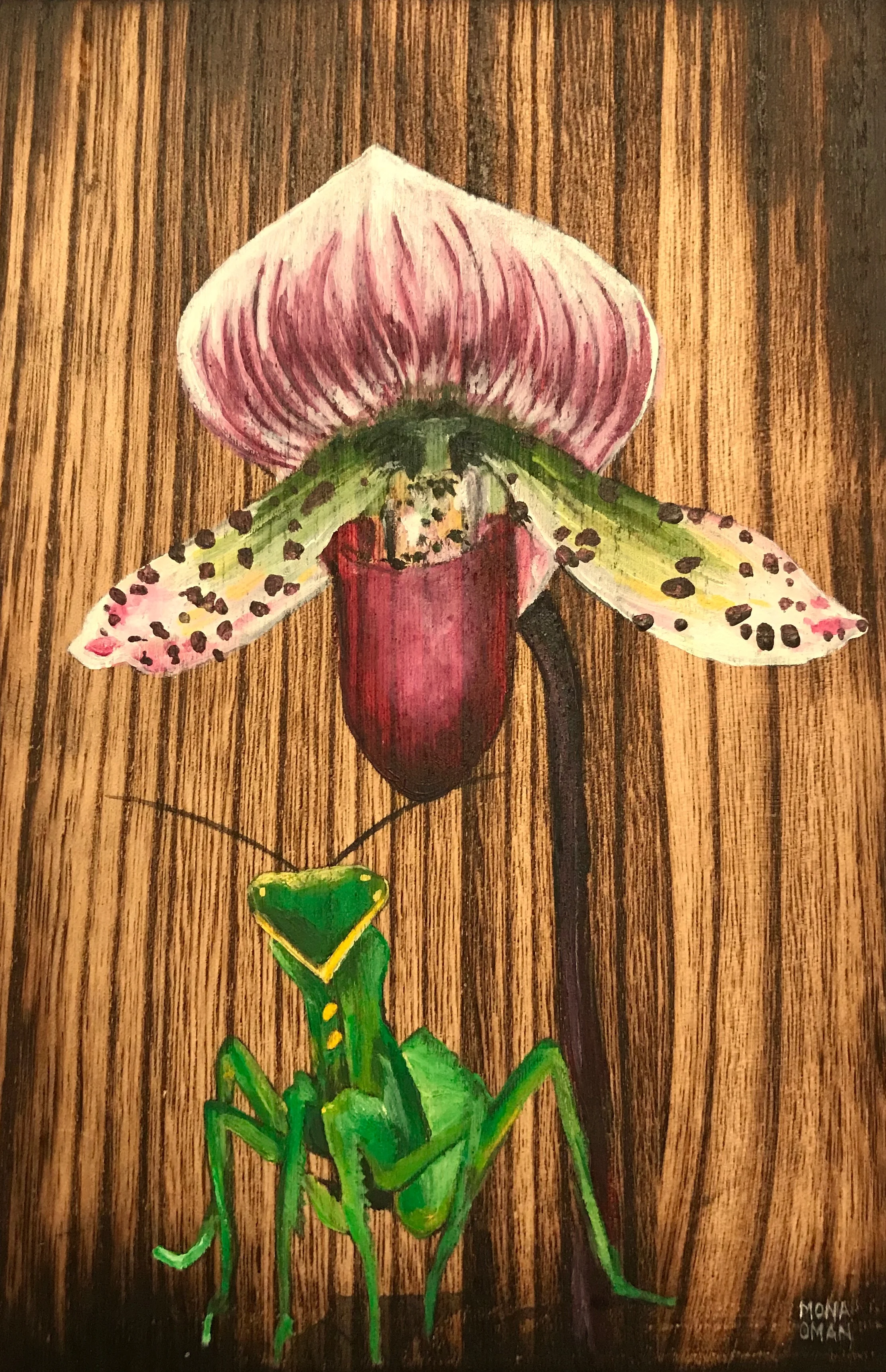 Orchid & Mantis