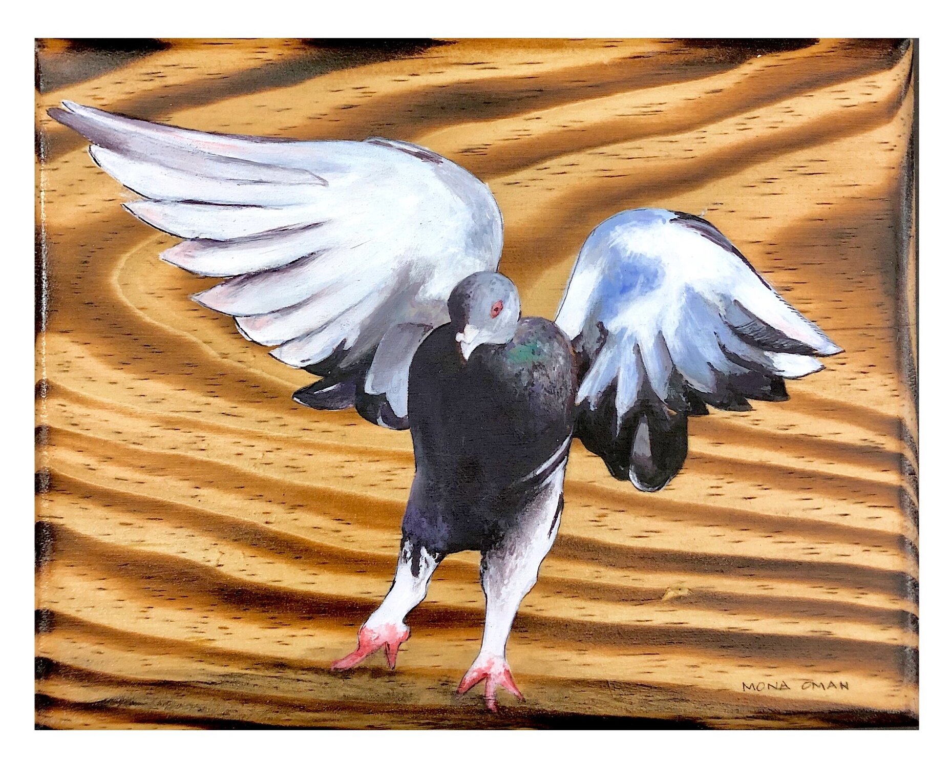 WingEd
