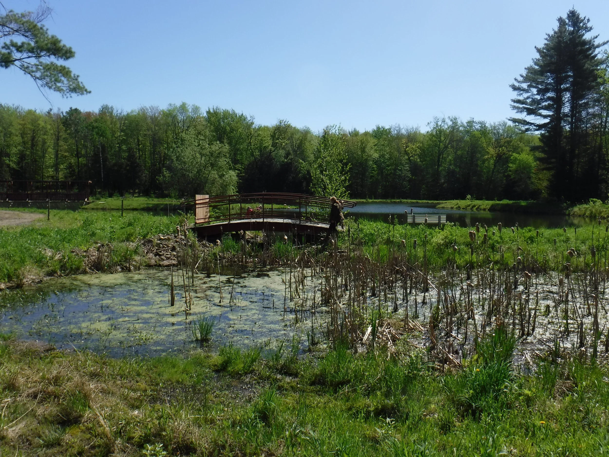 DSCF0934.jpg