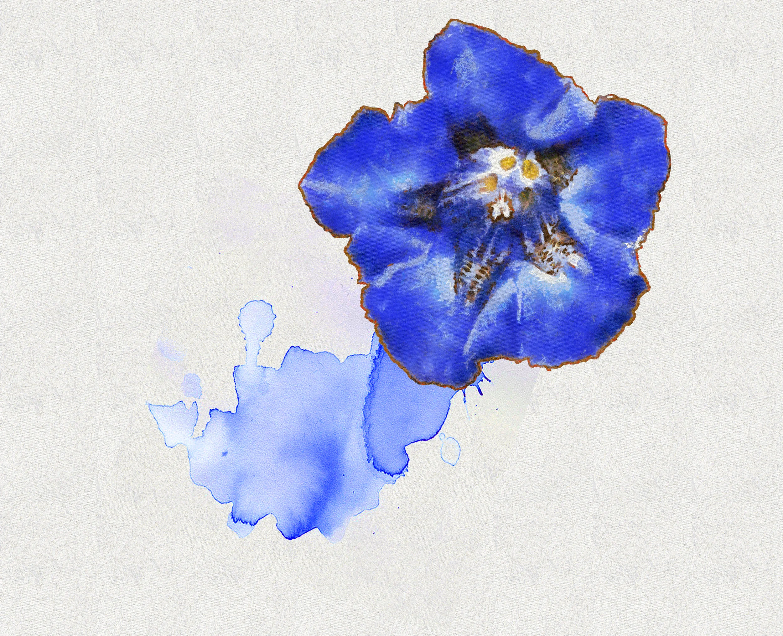 -_Flower_15e_-_DAP_Benson.jpg
