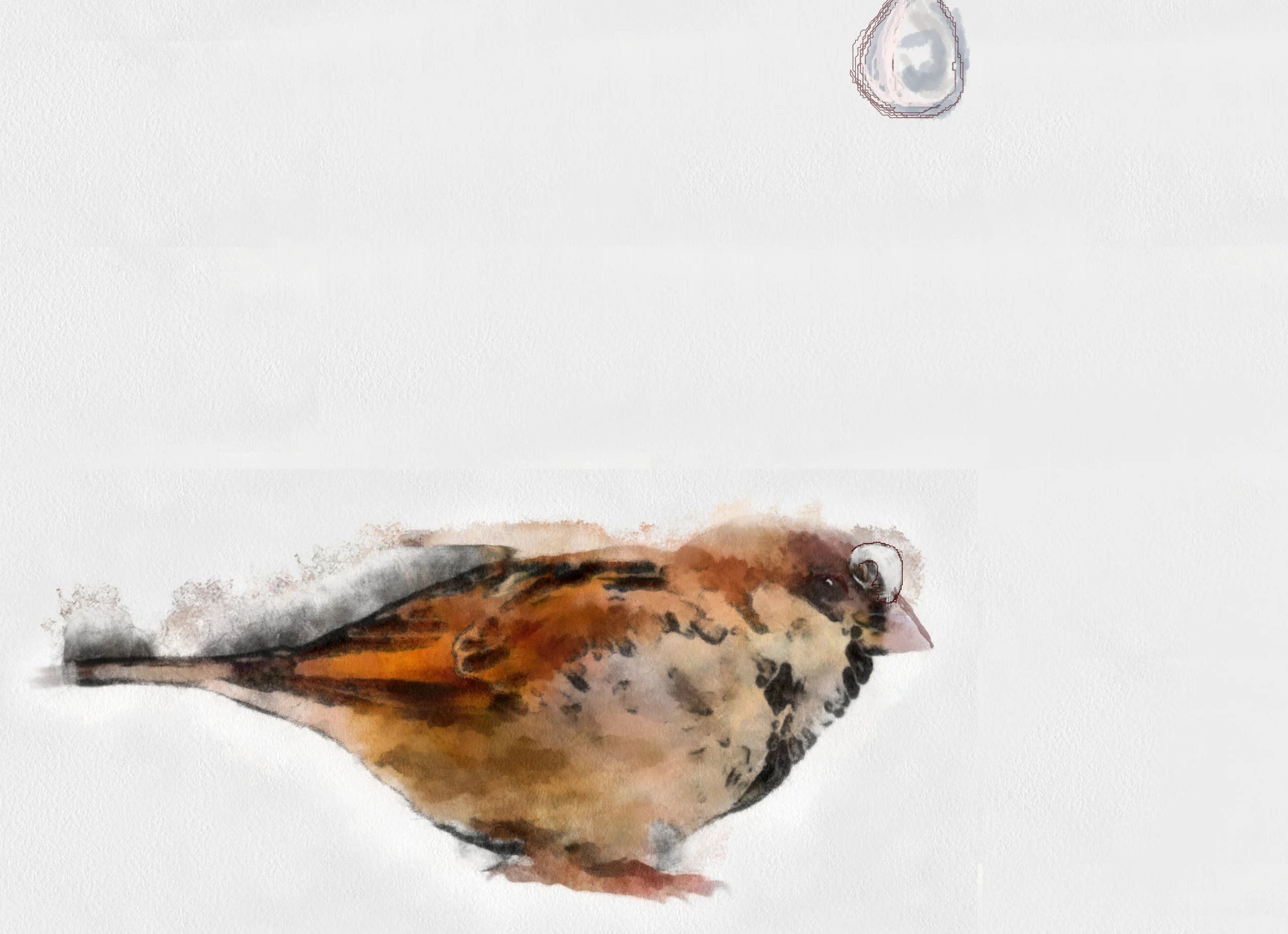 download (3)_Stroke108048_Aquarell.jpg