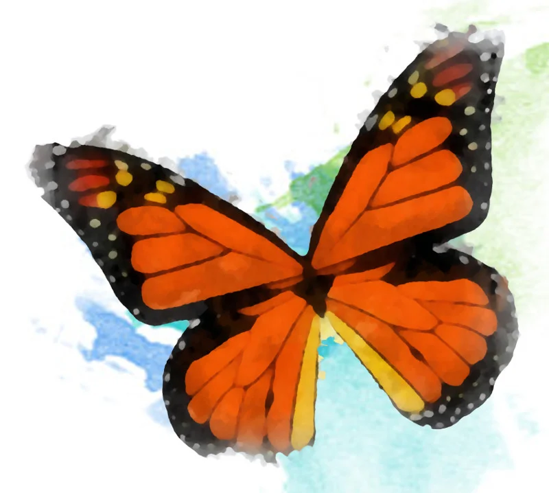 Want to bring the beauty of the garden indoors? Take a look at the botanical illustrations and garden art in our shop .