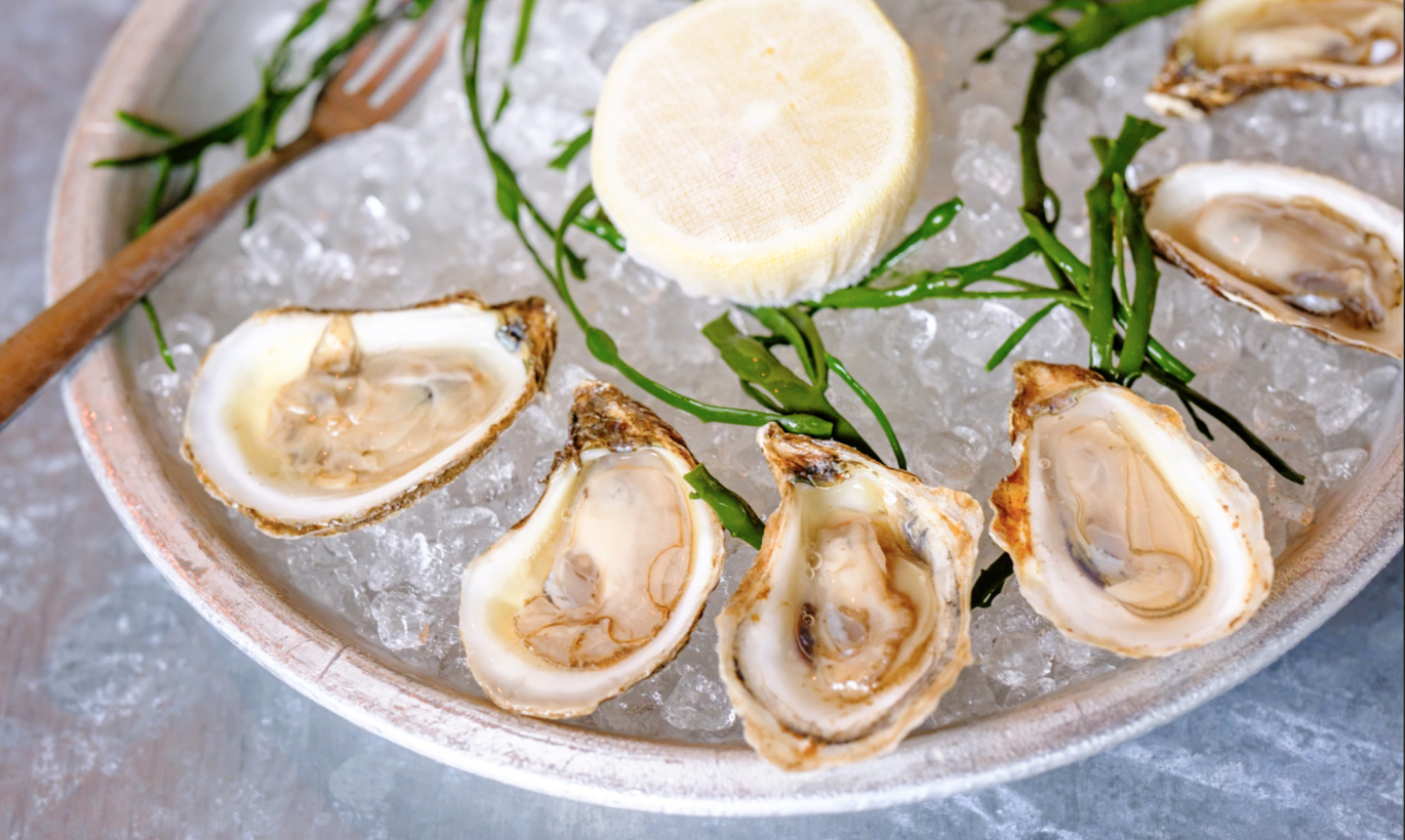 Oysters.png