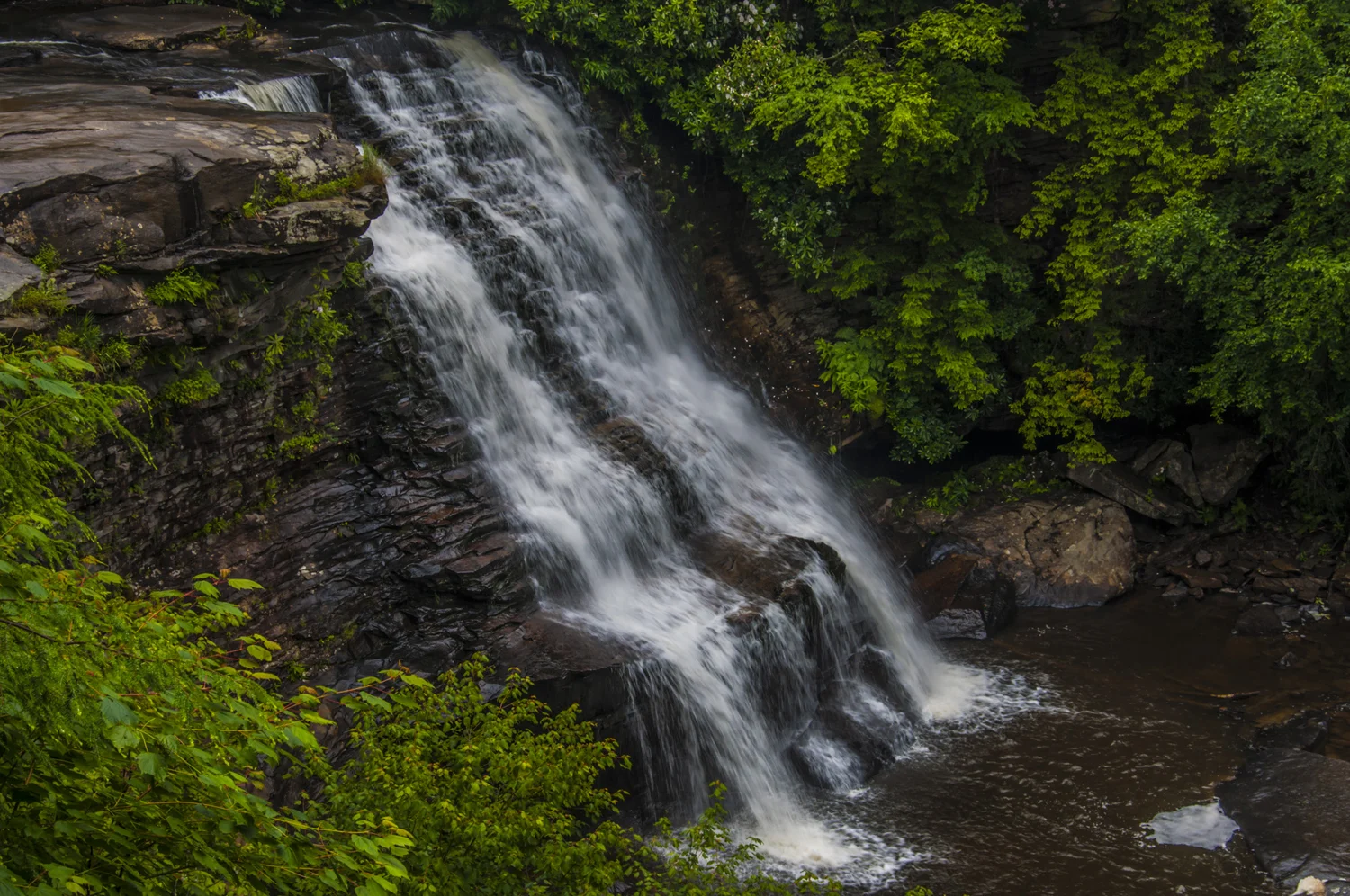 _DSC6902.jpg