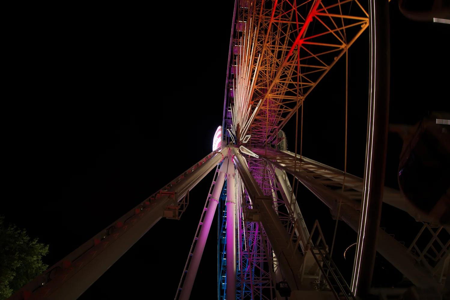 DSC_2006.jpg