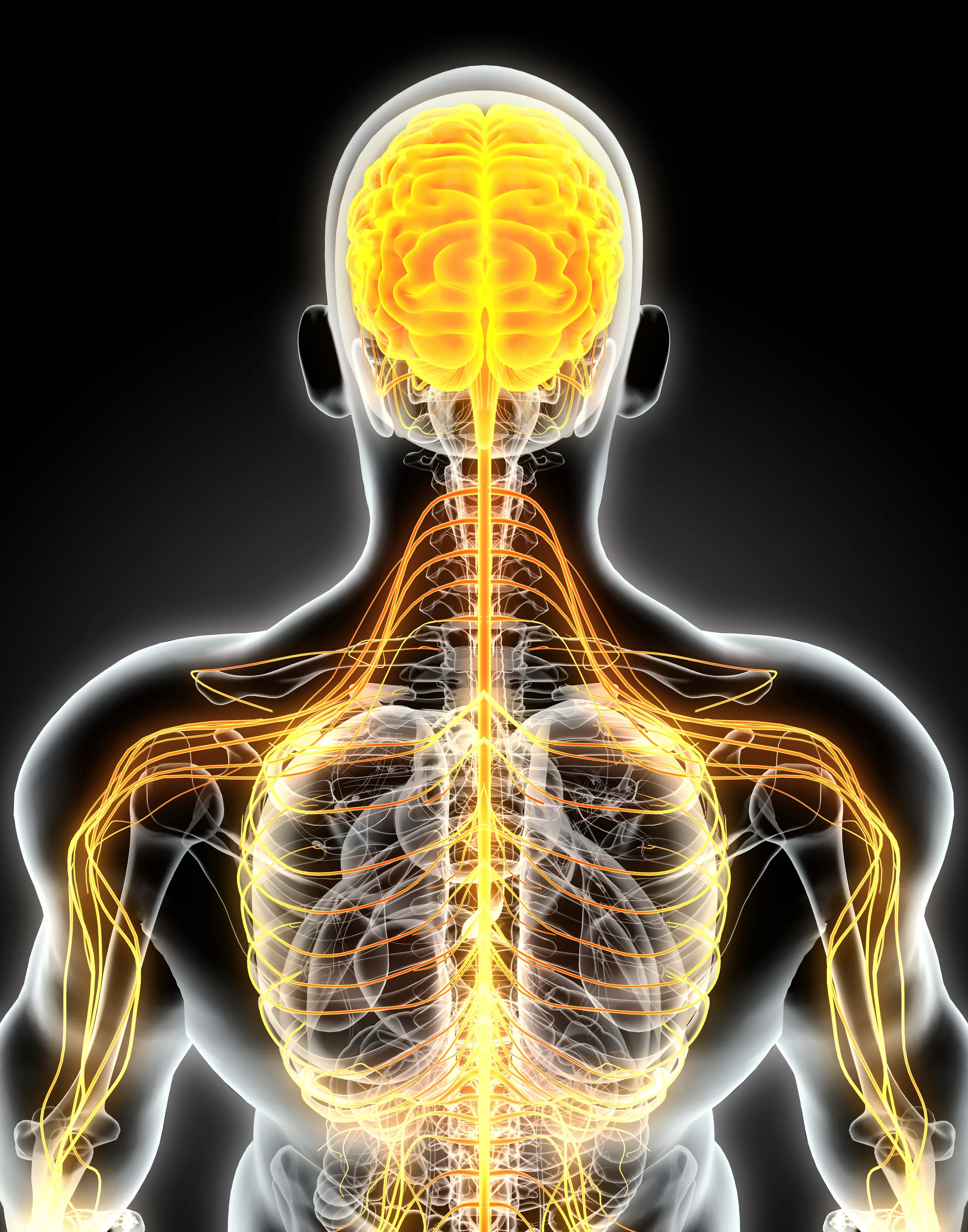 The neurological response to chiropractic services in Mackay