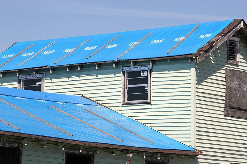 tarp 4.jpg