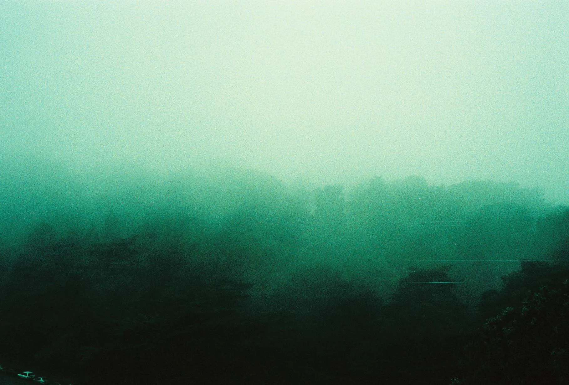 2052349896_e0dcd916fe_o.jpg