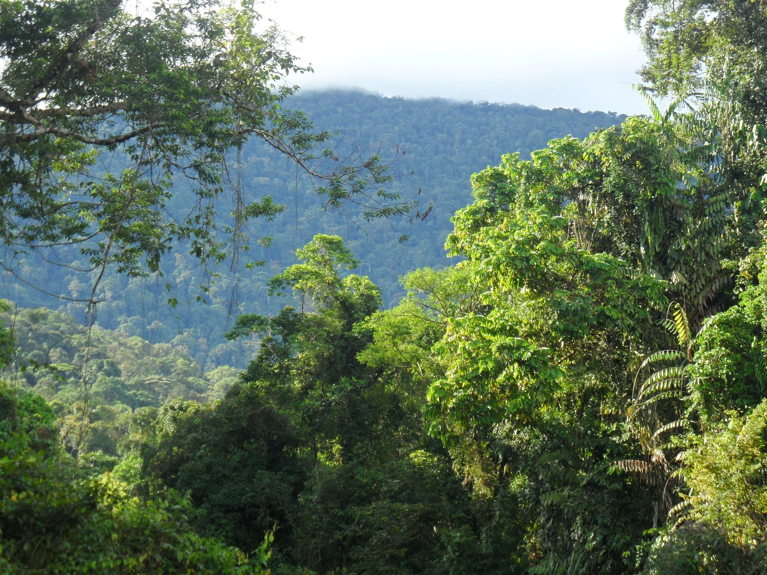 Gulf Province PNG photo Diverse Ecology