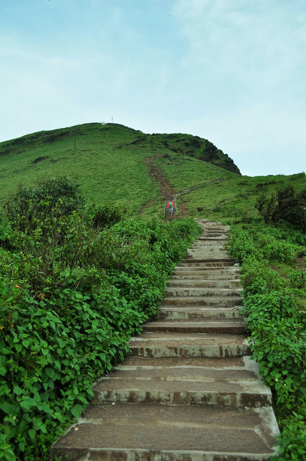 DSC_0334.jpg