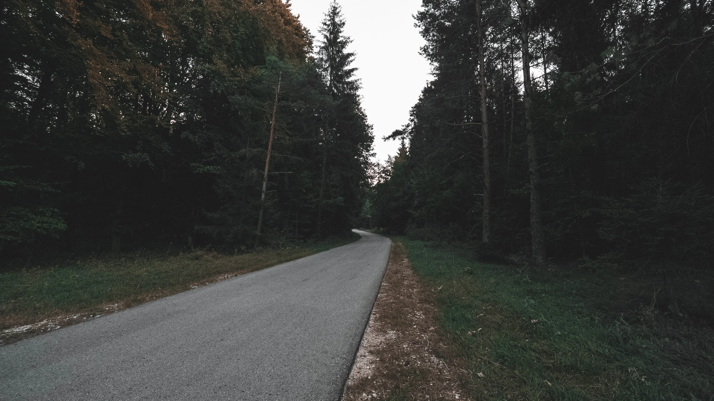 P1074772-3.jpg
