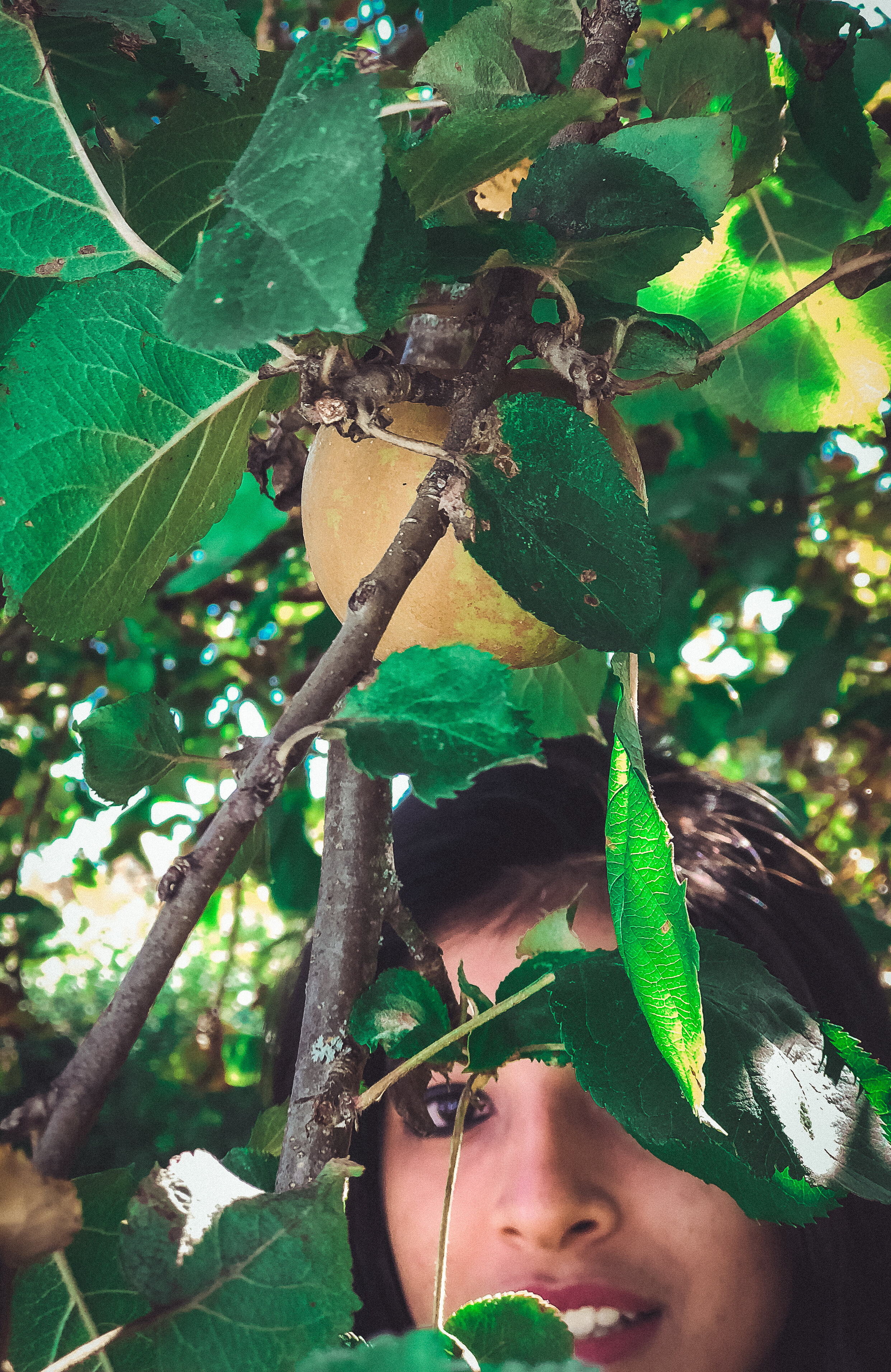 Eve and the Apple Tree Featuring Amrutha Ramanan