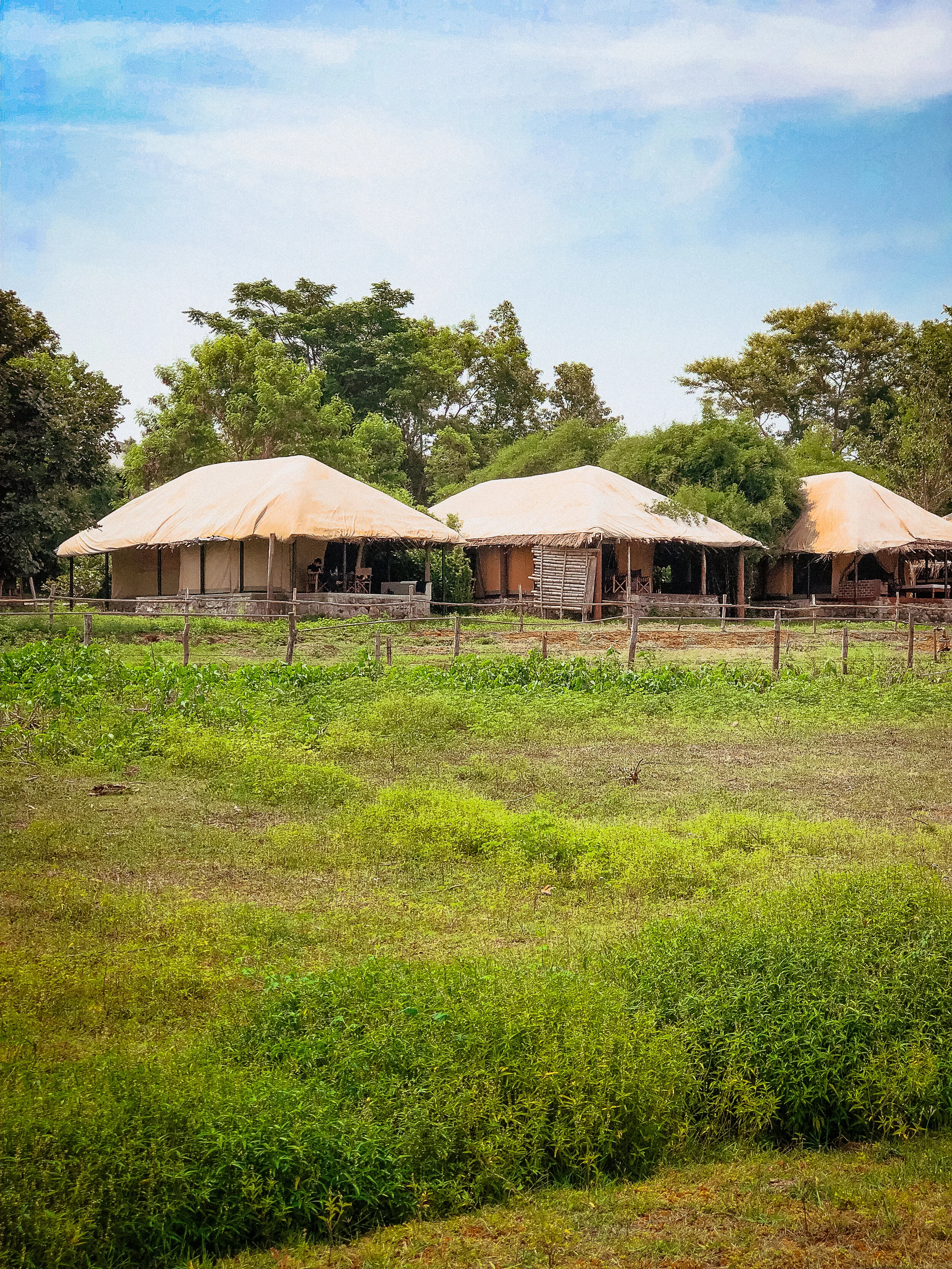 The calming wild of The Bison Resort