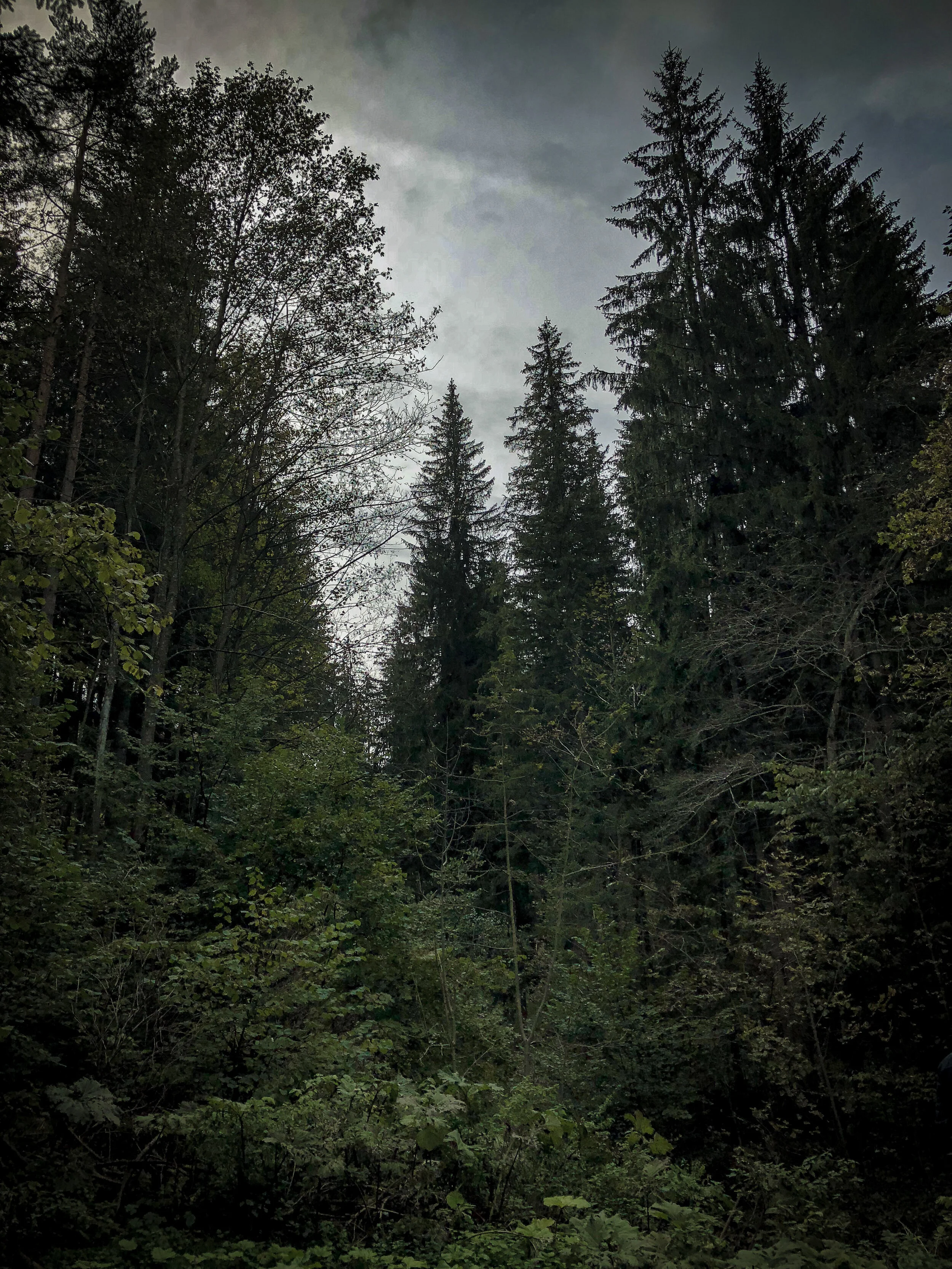 Lost (for real) in alpine Austria