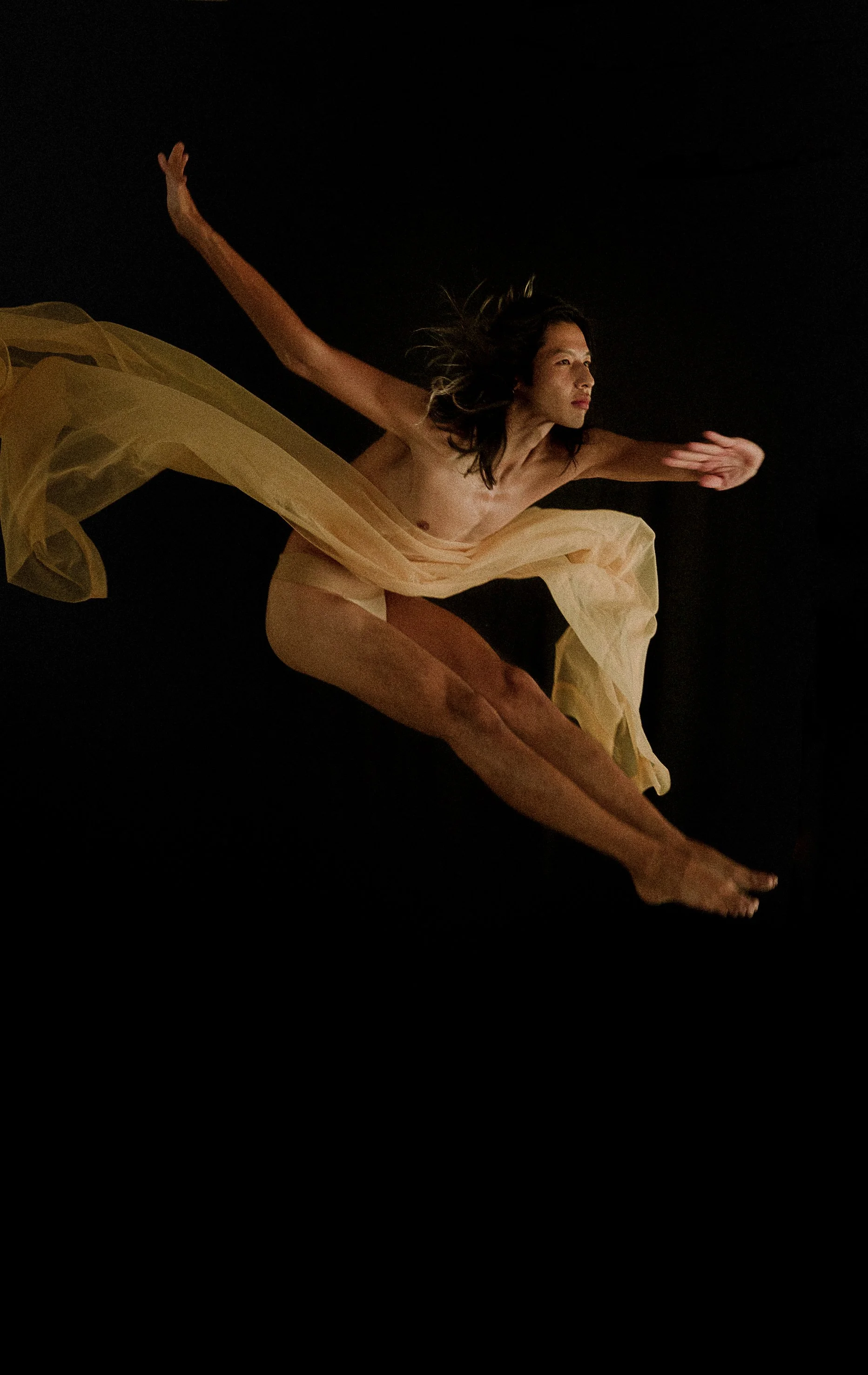 The moth and the flame featuring Joshua Sailo