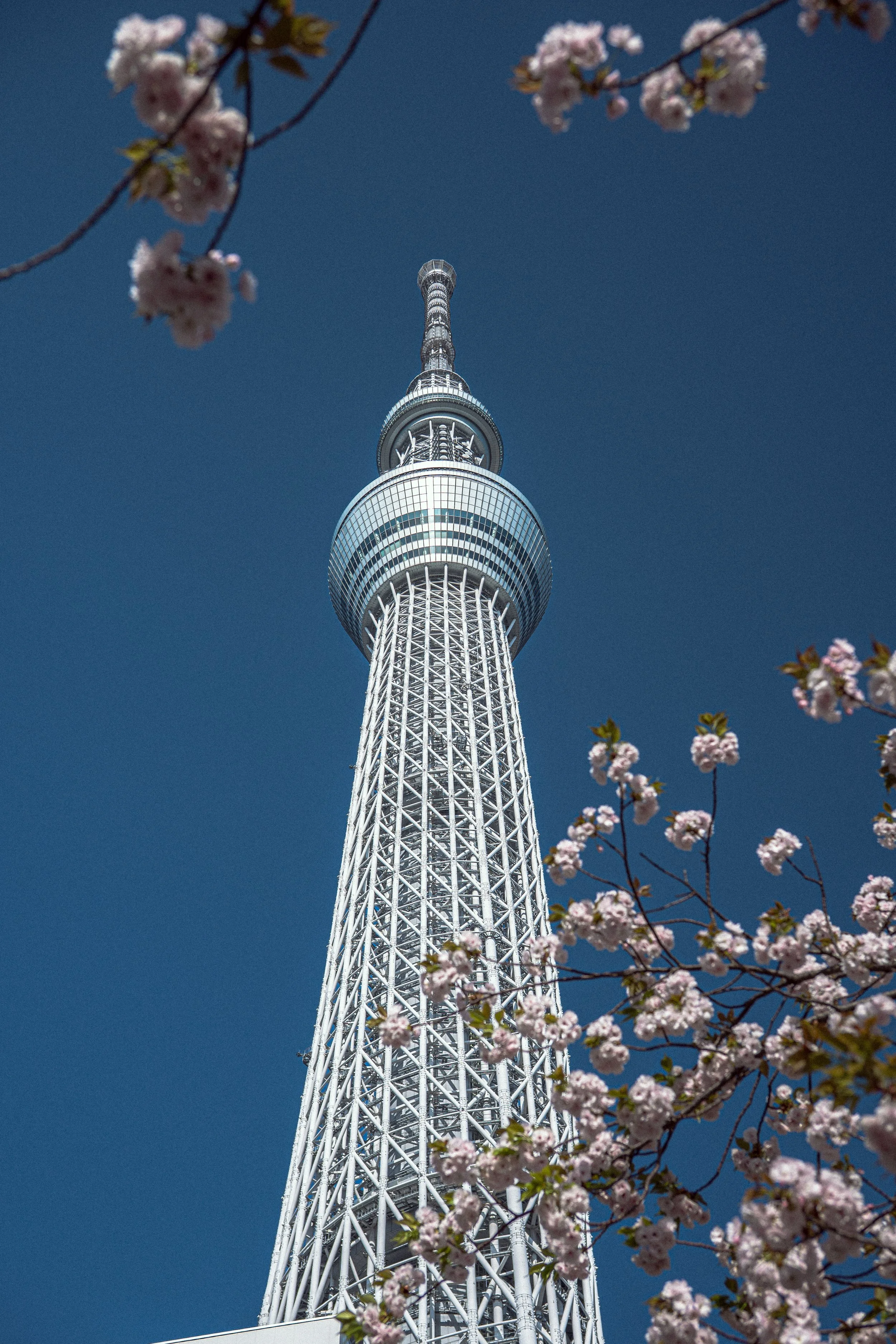 A dummy's guide to arriving in Tokyo