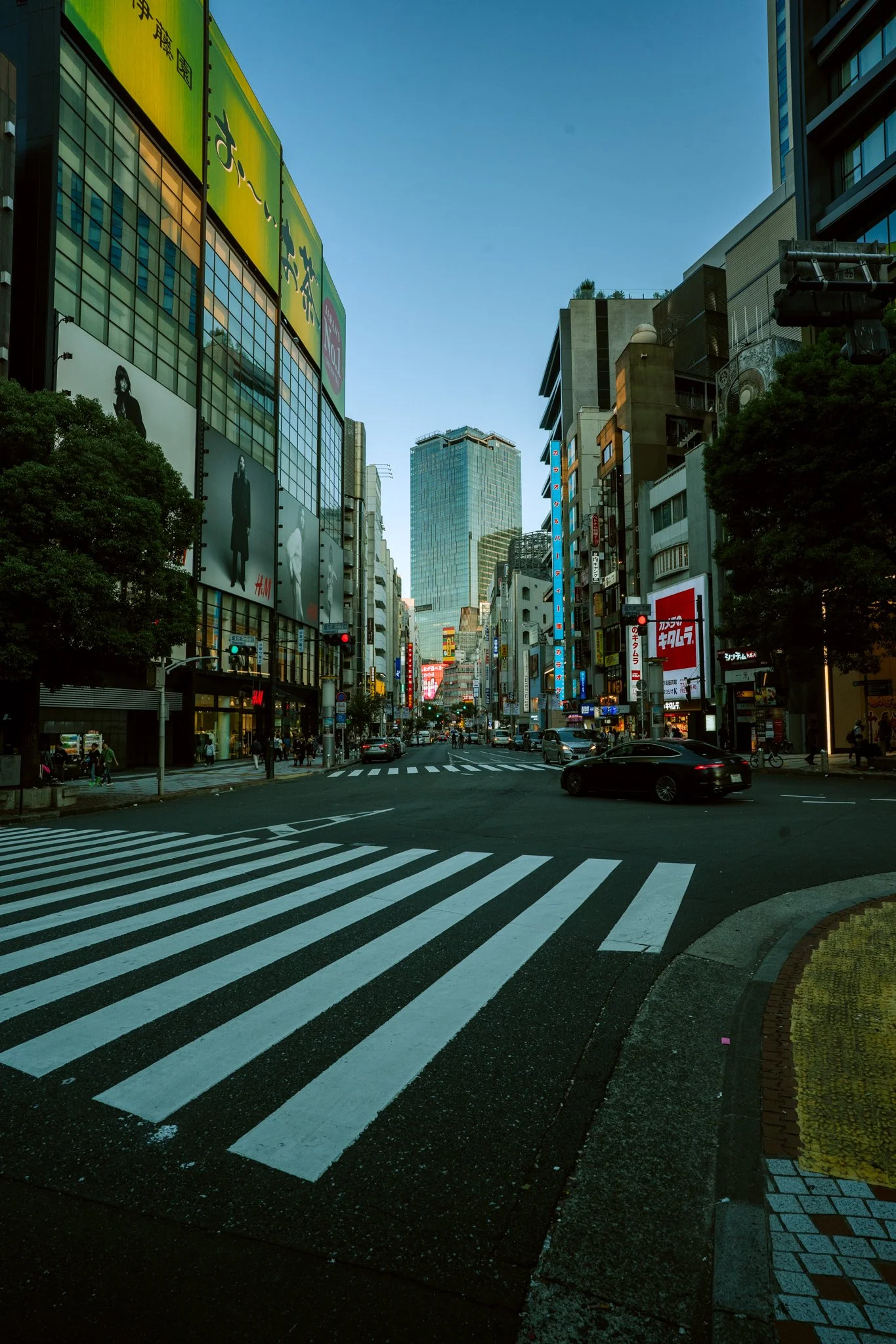 Okay, Japan has become my favourite place Part 2: Shibuya
